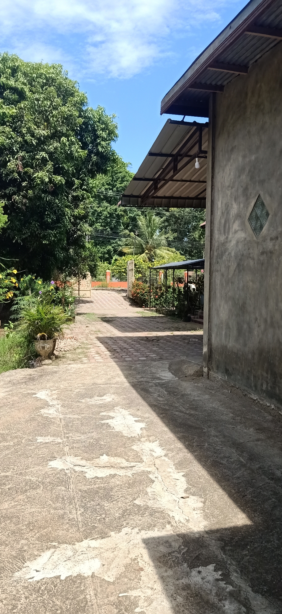 The image depicts a pathway leading through a lush, green outdoor area, likely in the vicinity of Meunasahlhok, Indonesia. The pathway itself is paved with reddish-brown interlocking bricks, contrasting with the rough, gray concrete foreground which shows signs of wear and discoloration. Sunlight casts strong shadows across the scene, indicating it is a bright day, likely mid-morning or afternoon.
To the left of the pathway, a large, mature tree with dense green foliage dominates the scene, its branches reaching towards the sky. Beside the tree, a decorative planter pot sits on the ground, filled with a leafy green plant. Further along the path, a white metal gate is visible, opening into a courtyard or another section of the property.
On the right side of the pathway, a building with a corrugated metal roof supported by wooden beams is partially visible. The exterior wall of this building is constructed of rough, gray concrete, and features a small, diamond-shaped window with green panes. A bare light bulb hangs from the ceiling under the roof. Another smaller, covered structure, also with a metal roof and supporting posts, is situated further down the pathway, with potted plants arranged around it.
The background is filled with more greenery, including palm trees and other tropical vegetation, suggesting a warm, humid climate. The sky above is a clear, bright blue, dotted with a few wispy white clouds. The overall impression is one of a tropical, somewhat rustic environment, possibly a residential property or a community space. There are no people or animals visible in the frame.