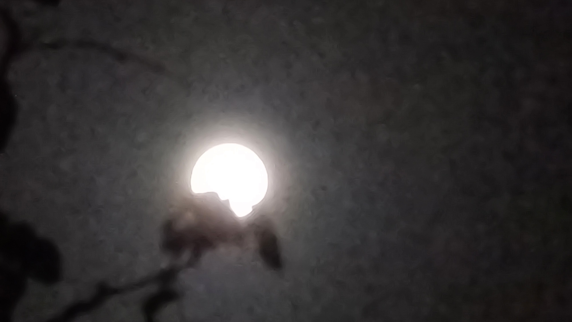 The image captures a close-up, low-angle view of a bright, circular light source, possibly a streetlamp or a large overhead bulb, emitting a powerful glow against a dark, textured background. Silhouetted against this light are dark, organic shapes that appear to be tree branches or foliage, creating an abstract pattern. The overall impression is one of a dimly lit outdoor environment, perhaps a park or a street at night. There are no visible people or identifiable landmarks that would suggest a specific location within Denpasar, Indonesia. The image is characterized by its low resolution and soft focus, which obscures fine details.