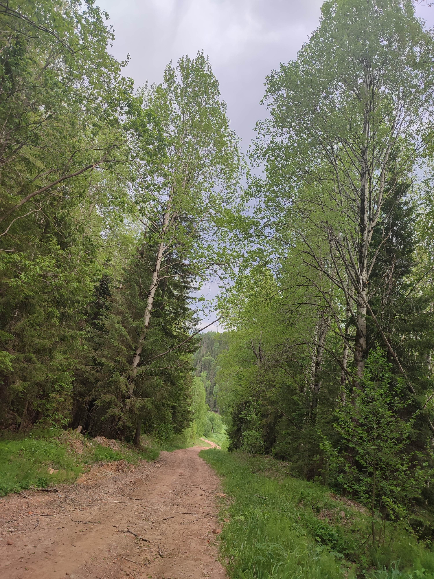The image shows a dirt road leading through a forest in Vil'va, Russia. The road is flanked by trees on both sides, including birch and coniferous trees. The sky is overcast. There are no people visible in the scene. The road appears to be unpaved and somewhat rutted. The surrounding vegetation includes grass and various forest plants.