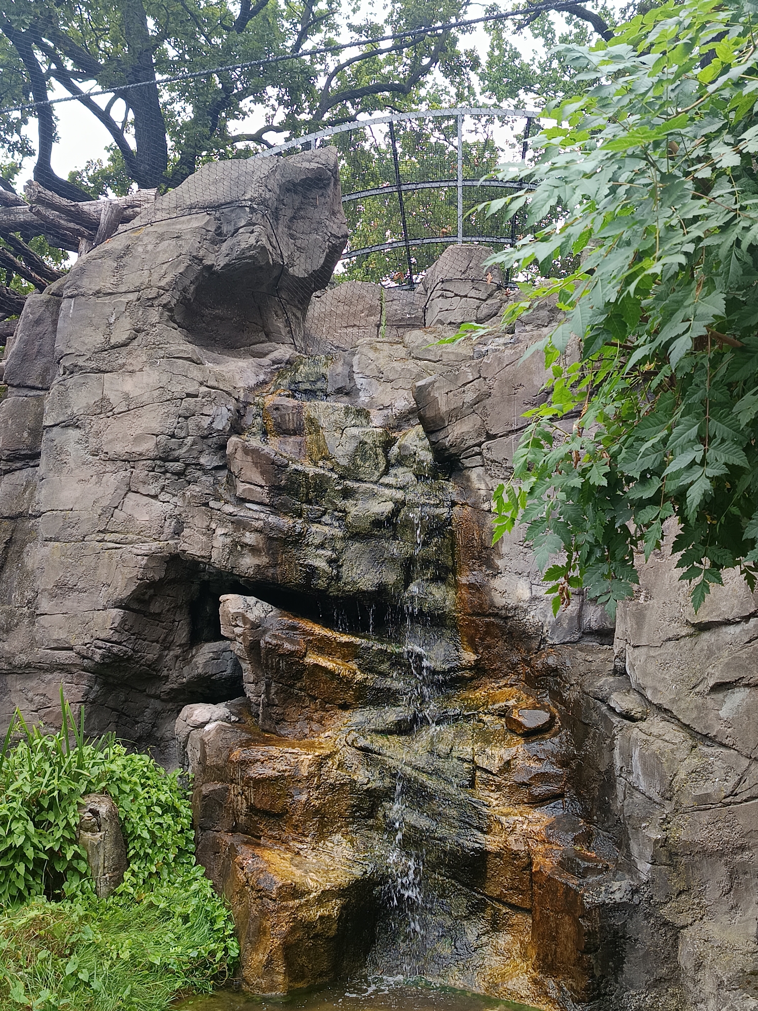 The image shows a man-made rock formation with a waterfall cascading down its textured surfaces. The rocks are various shades of grey and brown, with some areas appearing wet and darker where the water flows. Patches of green moss and algae cling to the rocks, particularly along the waterfall's path. Lush green vegetation, including grass and leafy plants, grows at the base of the rock formation. In the background, large trees with dense foliage are visible, with a metal mesh fence partially obscuring them. The sky appears overcast. This scene is located within the Berlin Zoological Garden, Germany.