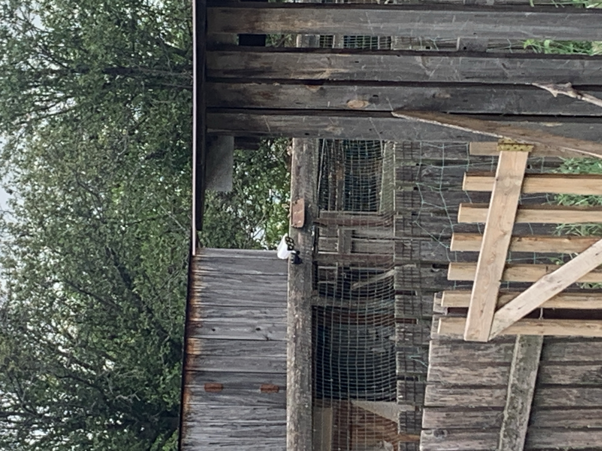 In the foreground of the image, a weathered wooden fence partially encloses an area. A wooden gate, constructed from lighter-colored planks, is visible on the right side of the fence, with its upper crossbar angled downwards. Behind the fence, a structure with vertical wooden beams forms part of the enclosure. A wire mesh fence is also visible, creating another barrier. Above this, a wooden structure with weathered planks runs horizontally, supporting a section of a roof. On top of this wooden structure, a small white object with black accents is attached, resembling a security camera or sensor. In the background, dense green foliage from trees dominates the upper portion of the image. The scene depicts an outdoor enclosure, possibly a pen or yard, with a rustic wooden construction. The location is stated to be Ustinovka, Russia.