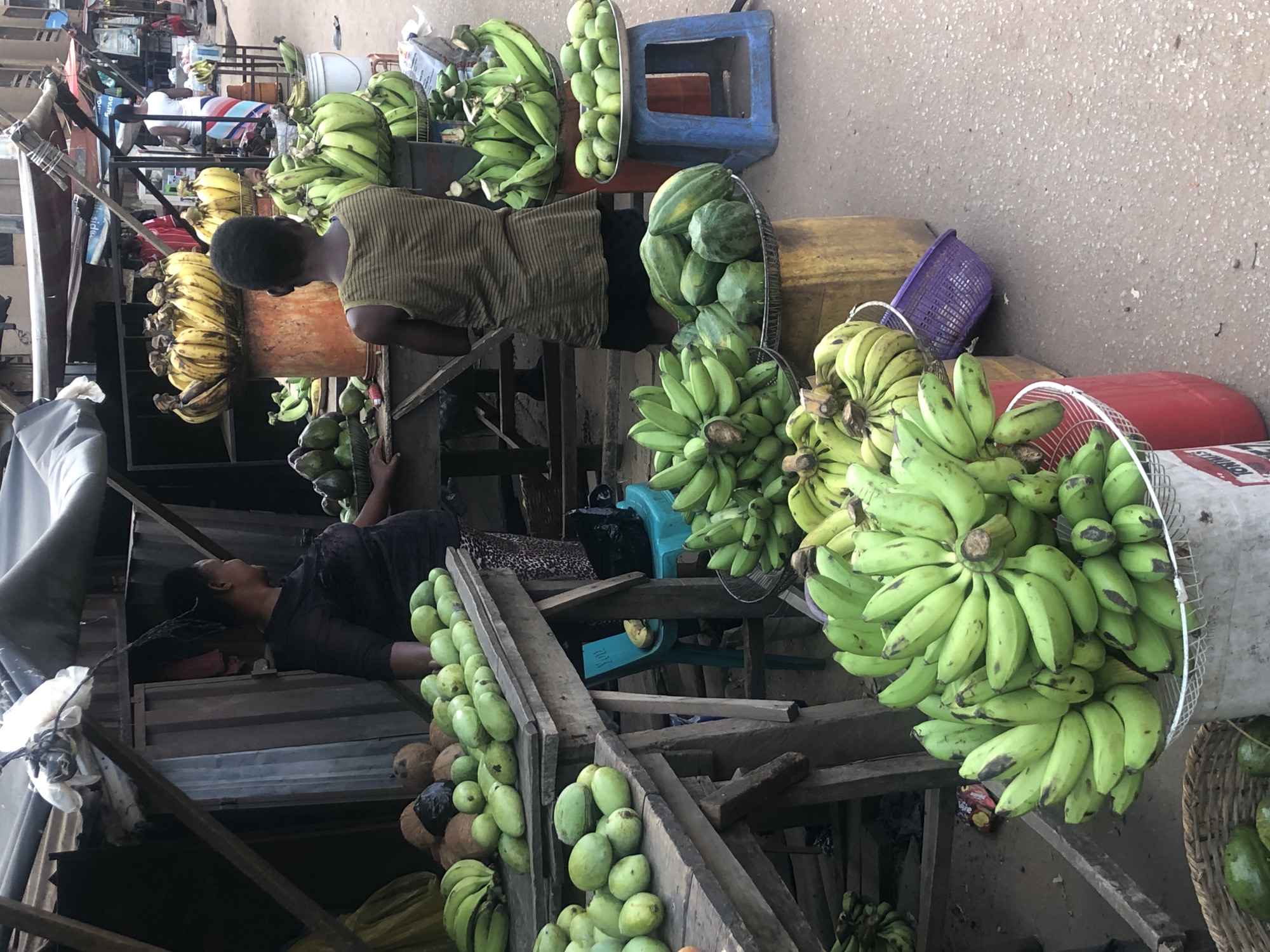 This image captures a bustling outdoor market scene, likely in Onitsha, Nigeria, given the context. The photograph is taken from a slightly elevated perspective, looking down into an array of market stalls laden with fresh produce.
The primary subjects are the abundant fruits and a few people engaged in market activities. Large quantities of green bananas and plantains dominate the foreground and midground, displayed in various white plastic buckets, metal trays, and baskets. There are also sizable bunches of ripe yellow bananas on wooden stalls. Green mangoes are meticulously stacked in rows on wooden display units, some alongside coconuts. Additionally, a basket containing several green papayas is visible.
Several individuals are present, presumably vendors. In the mid-ground, a person with short dark hair, wearing a striped shirt, stands behind a wooden stall, facing away from the camera. Further back on the left, another person in a dark top appears to be resting or attending to their stall. In the distance, another individual wearing a white and striped shirt is partially visible behind a counter.
The setting is a vibrant, informal market characterized by makeshift wooden stalls and various colorful plastic containers, including blue, yellow, red, and purple buckets and chairs used for display or seating. The ground appears to be a paved or concrete surface. The bright lighting suggests it is daytime. There is some indistinct text on a white bag in the background and a small product label among the bananas, but it is not legible. The overall activity conveys the essence of daily commerce and food trade in a lively market environment.