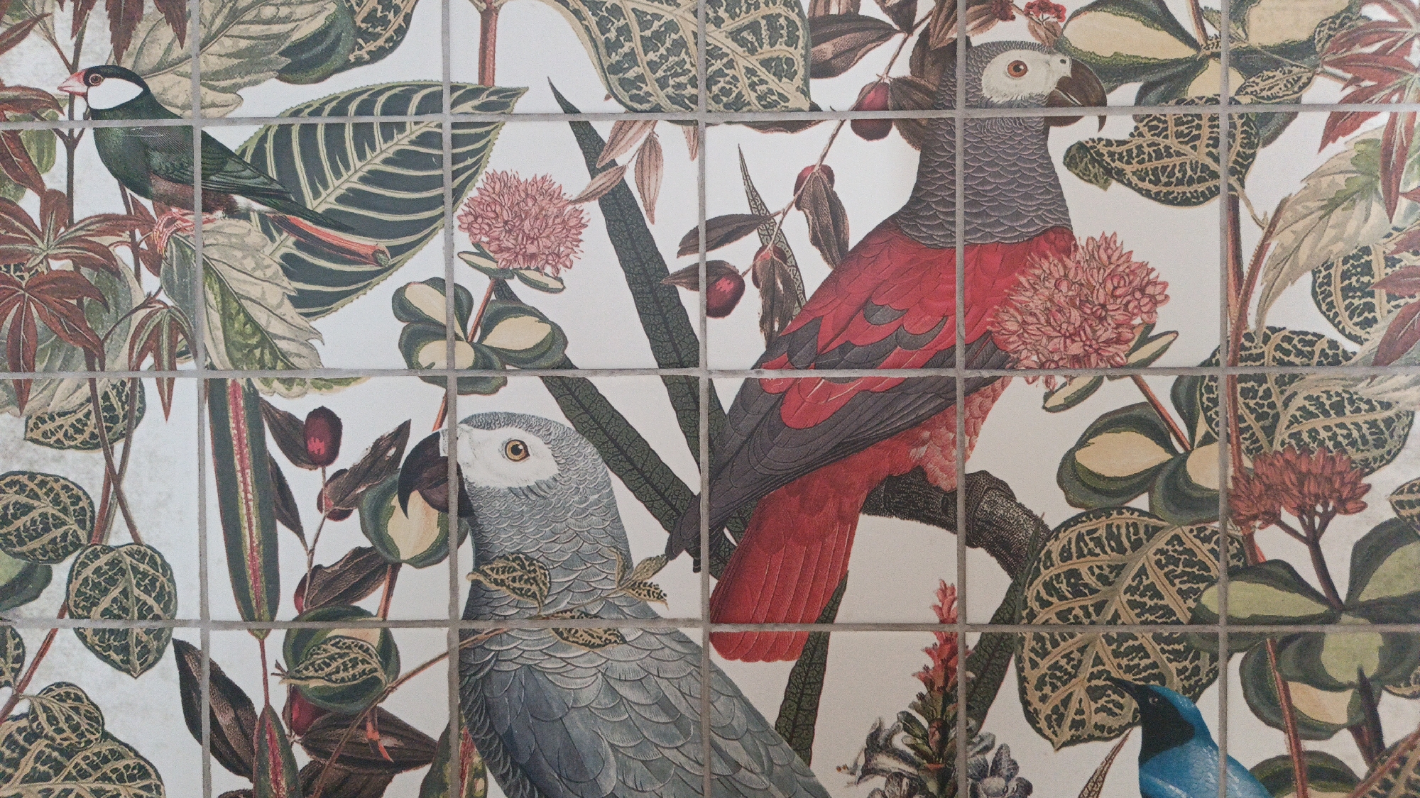 The image is a close-up, detailed view of a wall mural depicting a vibrant tropical scene. The mural is composed of square tiles, with visible grout lines dividing the image. The main subjects are several birds and lush foliage.
On the left, a small bird with a dark green body, white cheeks, and a red tail is perched on a branch. To the right and slightly below it, a large African Grey parrot with grey plumage, red tail feathers, and a white face is prominently featured. Its body is angled towards the right, with its head turned towards the viewer. Further down and to the left, another African Grey parrot is shown, facing left and looking towards the viewer. A small blue bird is visible in the lower right corner of the image, its head and chest in view.
The surrounding environment is filled with a variety of tropical plants, including large-leafed plants with intricate patterns, dark red leaves, and clusters of pink and red flowers. The colors are rich and detailed, creating a sense of depth and realism within the stylized mural. The lighting appears to be even, with no harsh shadows, suggesting an indoor setting.
The location is identified as Balashikha, Russia. The scene depicts a decorative element, likely a wall covering in a public or private space. There are no people present in the image, and no actions or interactions are occurring beyond the static depiction of the birds and plants within the mural.