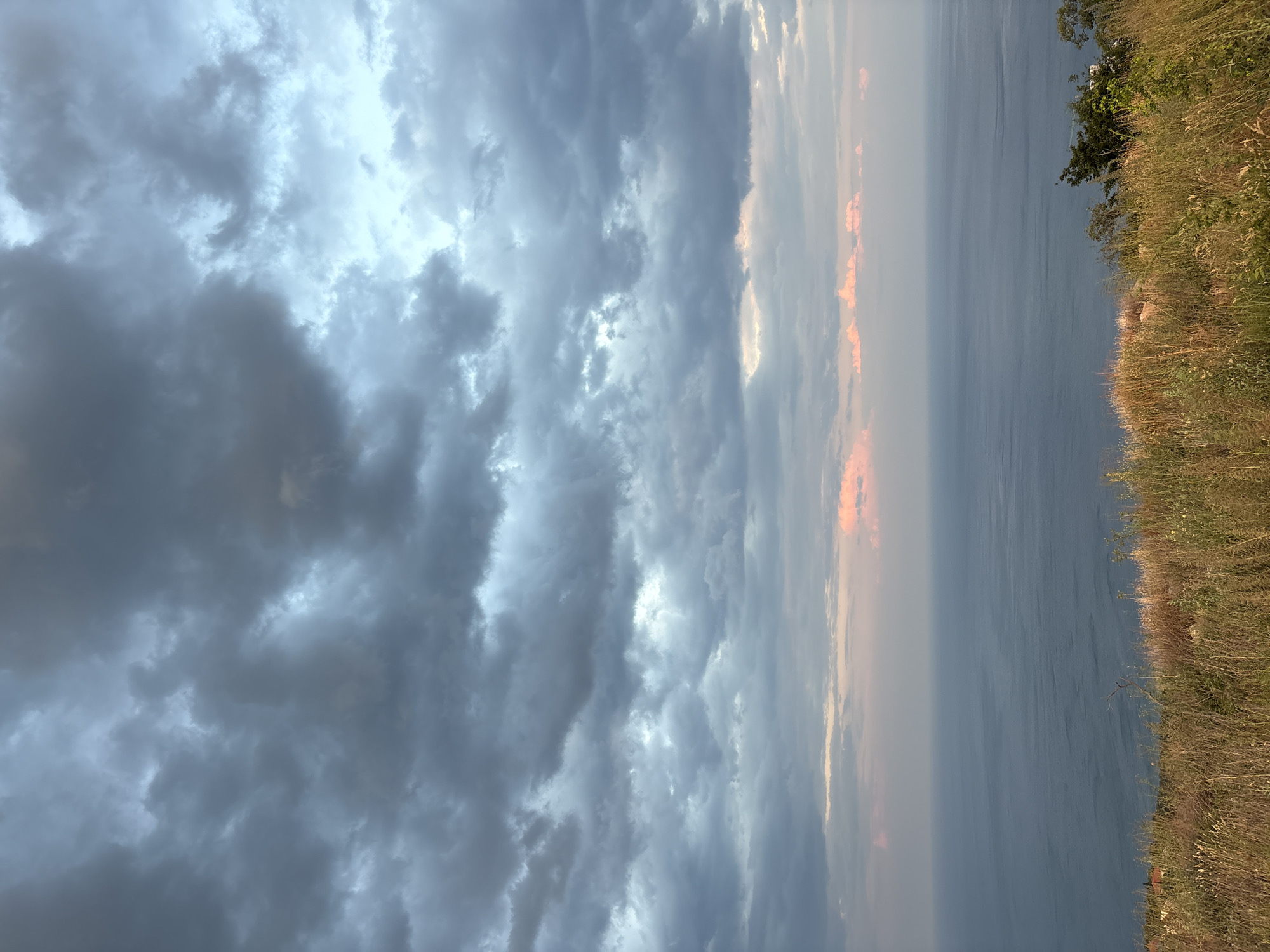 A vertical, high-angle shot captures a view of the sea and sky from a grassy hillside overlooking Malyi Mayak, Ukraine. The foreground is dominated by dry, golden grass and a few green shrubs. The middle ground features a vast expanse of deep blue sea, with subtle ripples visible on its surface. The horizon is marked by a thin band of pale pink and orange clouds, hinting at a sunset or sunrise. Above this, the sky is filled with a dramatic arrangement of dark, grey, and white clouds, with lighter patches suggesting breaks in the overcast. A few structures, possibly houses, are visible nestled among the greenery on the left side of the hillside in the distance.