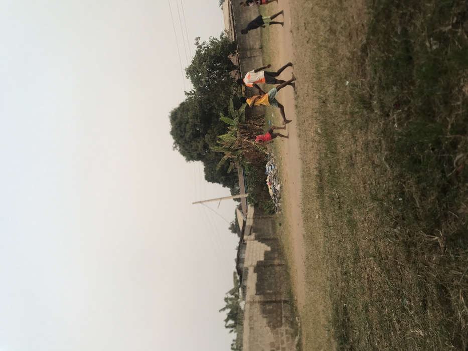 This image, rotated 90 degrees clockwise from its intended upright orientation, depicts an outdoor scene in what appears to be a rural or semi-urban setting. The sky, which is a light, hazy grey, occupies the left side of the frame. An unpaved dirt path runs diagonally from the lower-center towards the upper-left, serving as the main stage for the activity.
Several young males, likely children or teenagers, are visible on or near this path, appearing to be in motion as if running or playing. In the more prominent foreground (lower-mid section when viewed upright), two boys are depicted barefoot or in light footwear: one in a white and orange shirt, and another in a yellow shirt and light blue shorts. Further along the path, near the bottom edge of the frame, another boy in a red shirt is seen next to a pile of colorful discarded items or rubbish. Other figures, less distinct, are visible further up the path.
To the "left" of the path (which would be the background on the left side in an upright view), there are various green trees, including large, leafy specimens and what resembles banana plants. A utility pole with wires extends from the bottom of the frame upwards, piercing the hazy sky. Simple, block-constructed walls, possibly incomplete or damaged, are also present along this side. To the "right" of the path (the foreground on the right side in an upright view), lies an expanse of dry, yellowish-green grass and sparse vegetation.
The time of day is daytime, with an overcast or hazy sky that diffuses the light, resulting in soft illumination and an absence of sharp shadows. The scene portrays a sense of everyday activity in a community area, consistent with the location context of Umudike, Nigeria. There is no visible text in the image.