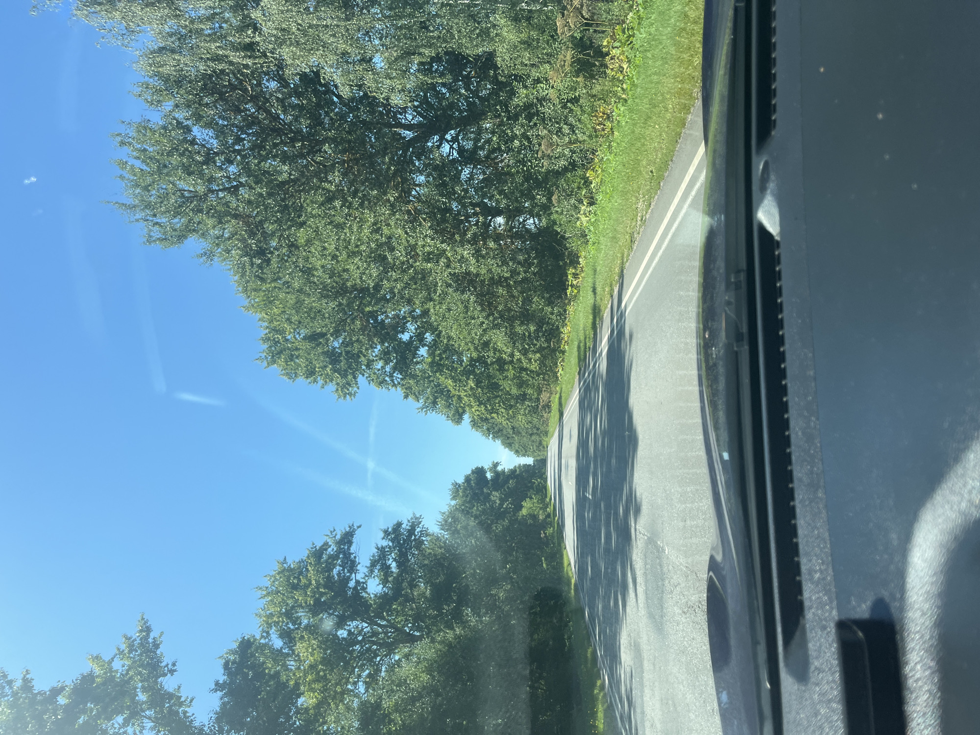 The image captures a view from inside a vehicle looking out at a rural road lined with lush green trees. The asphalt road extends into the distance, marked with double white lines. The sky is a clear, bright blue with faint wispy clouds. Sunlight filters through the leaves, casting shadows on the road. The foreground shows the dashboard and windshield of the vehicle. The scene suggests a serene drive through a wooded area, likely on a sunny day. The location is identified as Dmitrovsk-Orlovskiy, Russia.