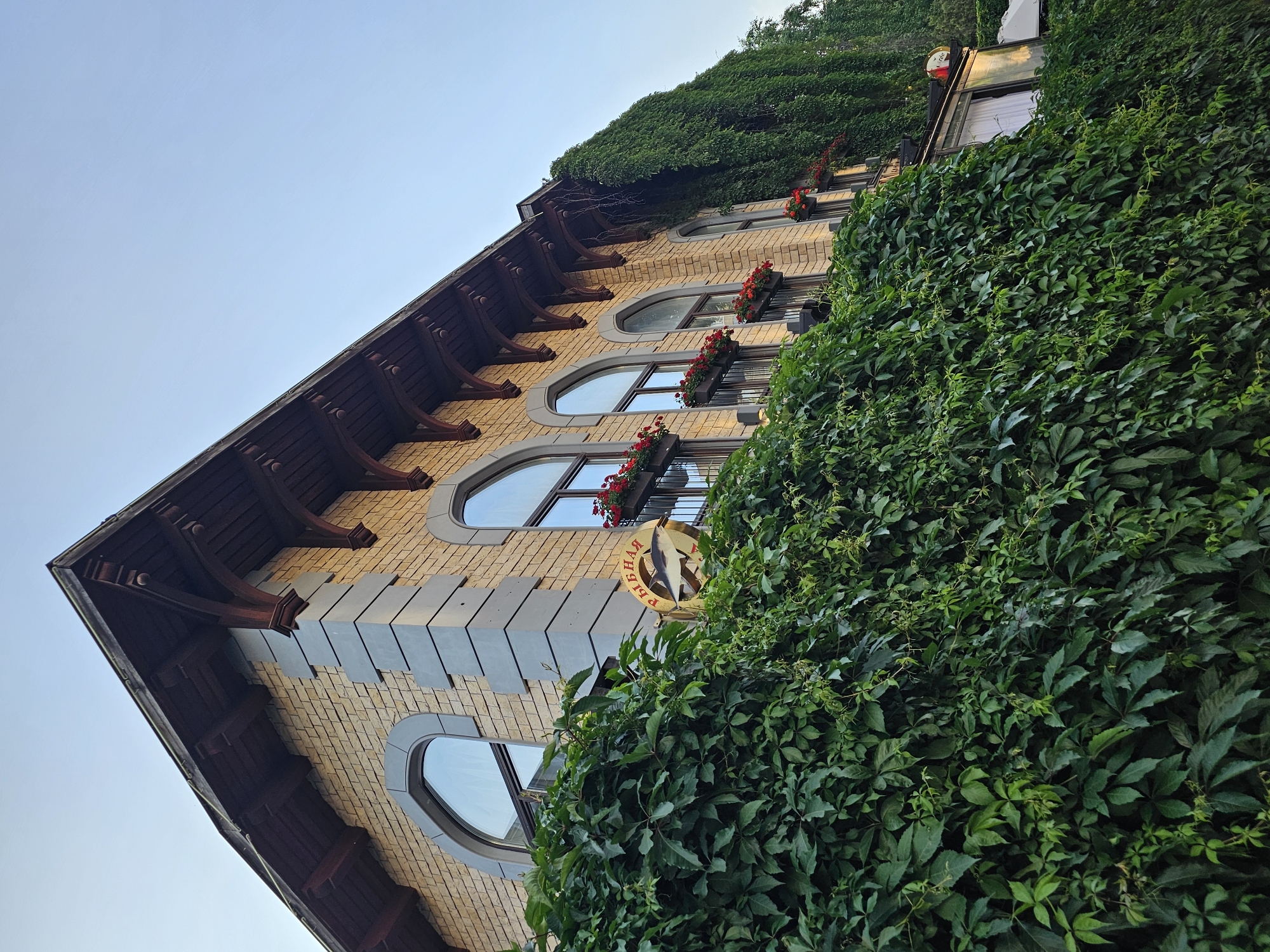 This media file shows a close-up, low-angle shot of a building facade covered in lush green ivy. The building's architecture features arched windows with wooden accents and a patterned brick exterior. Red flowers in window boxes add a splash of color. A circular sign with Cyrillic text and an image of a fish is visible on the building. The image appears to be taken during the daytime under a clear sky. The focus is on the interplay between the natural and built environment, with the dense foliage partially obscuring the building's details. The setting suggests an outdoor location, possibly in a European city given the architectural style and the visible text.