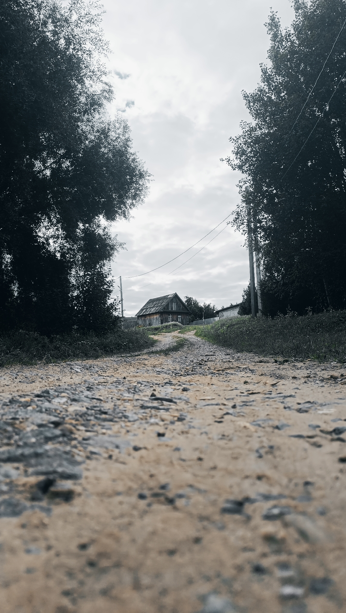 A low-angle, wide shot captures a rural dirt road leading towards a weathered wooden house in Karsha, Russia. The road, composed of gravel and sand, fills the foreground and extends into the middle ground. On either side of the road, dense trees with dark foliage create a natural tunnel effect. The house, a single-story structure with a gabled roof, is situated in the distance, slightly off-center to the left. Power lines stretch across the sky above the house. The sky is overcast with grey clouds. The environment appears natural and undisturbed. There are no people or animals visible in the image. The overall impression is one of rustic simplicity and a sense of remoteness.