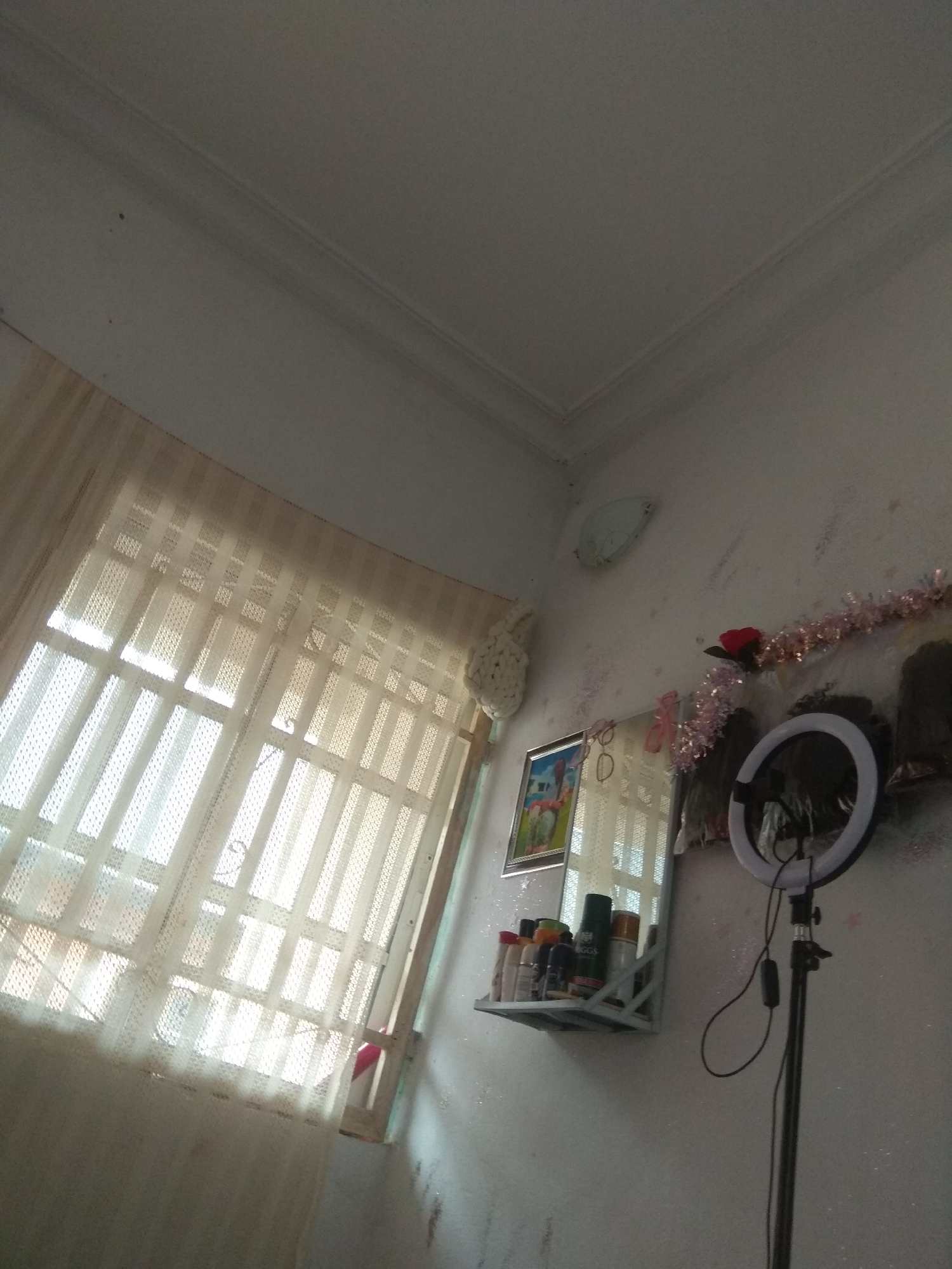 A low-angle, indoor shot captures a corner of a room, likely a bedroom or dressing area, in Jalingo, Nigeria. The walls are textured and appear to be a light color, with some faint markings and possibly water stains.
On the left, a window is covered by sheer, cream-colored curtains, with a patterned overlay that creates vertical stripes. The window itself has a grid-like structure, suggesting bars or a security screen. Sunlight streams through, illuminating the room.
To the right of the window, a framed picture hangs on the wall, depicting a vibrant scene with figures and possibly animals. Below the picture, a white shelf is mounted on the wall, holding an assortment of cylindrical bottles, likely cosmetic or personal care products. These bottles vary in color and labeling, with some appearing to be aerosol cans.
A mirror is positioned on the shelf, reflecting the window and some of the items on the shelf. Hanging above the mirror and extending across the wall is a garland of pink, crinkly material, possibly decorative tinsel. A red artificial flower is also affixed to the wall near the garland.
Further to the right, a black ring light on a tripod stands against the wall. The ring light is illuminated, casting a white glow. The tripod is partially visible, with a black cord extending from the ring light.
The ceiling is visible in the upper portion of the image, featuring decorative molding and appearing to be a light color. The overall impression is of a lived-in space, possibly set up for filming or photography given the presence of the ring light and mirror.