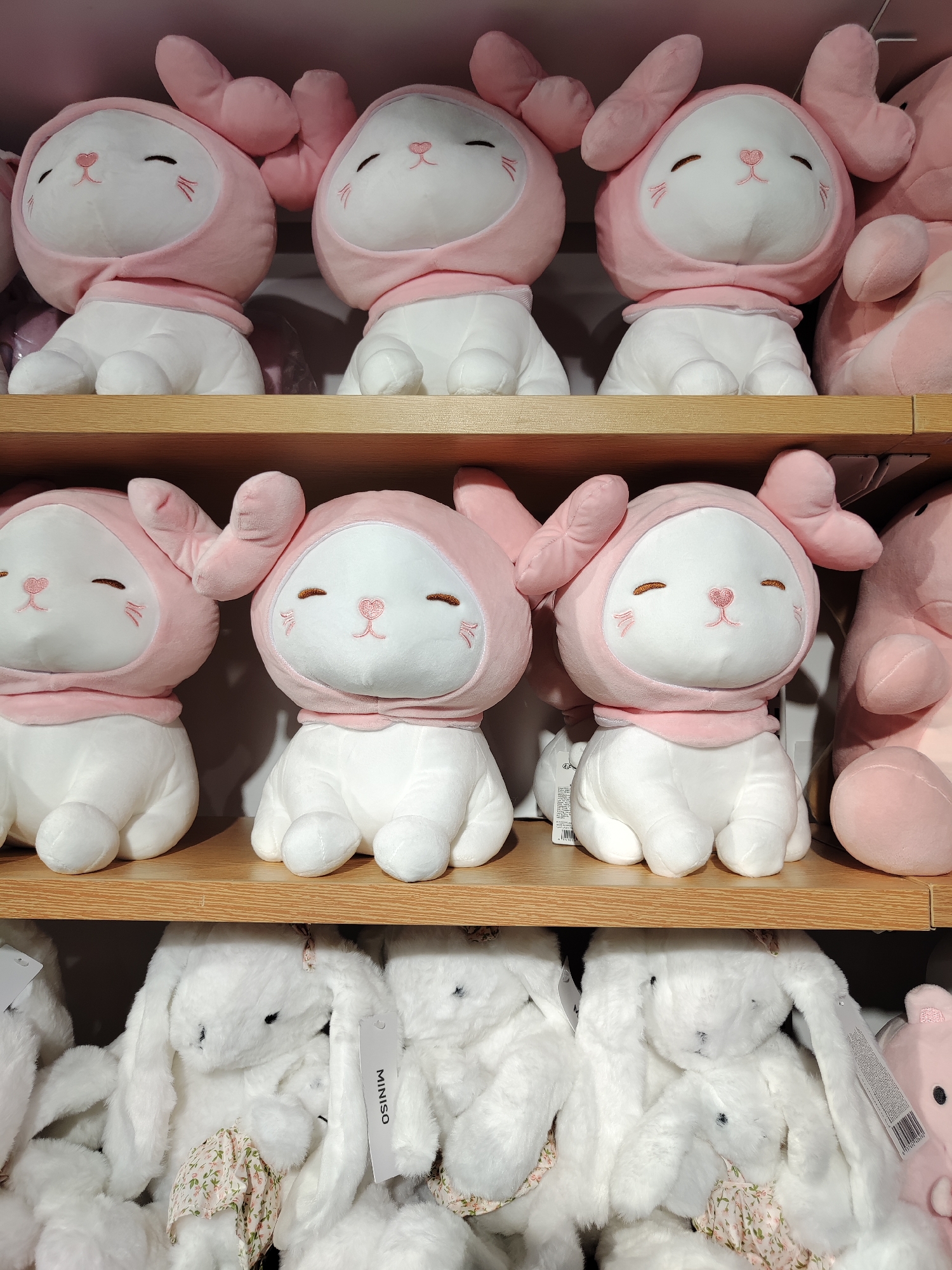 The image shows three shelves of plush toys. The top shelf displays several white and pink cat-like plush toys wearing pink hoods with ears. The middle shelf has more of the same cat-like plush toys. The bottom shelf is filled with white fluffy rabbit plush toys, some wearing floral print accessories and Miniso tags. The toys are arranged neatly on wooden shelves, with the overall impression being a retail display. The scene is lit by artificial light, creating a soft and inviting atmosphere. This photograph was taken in Tashkent, Uzbekistan.