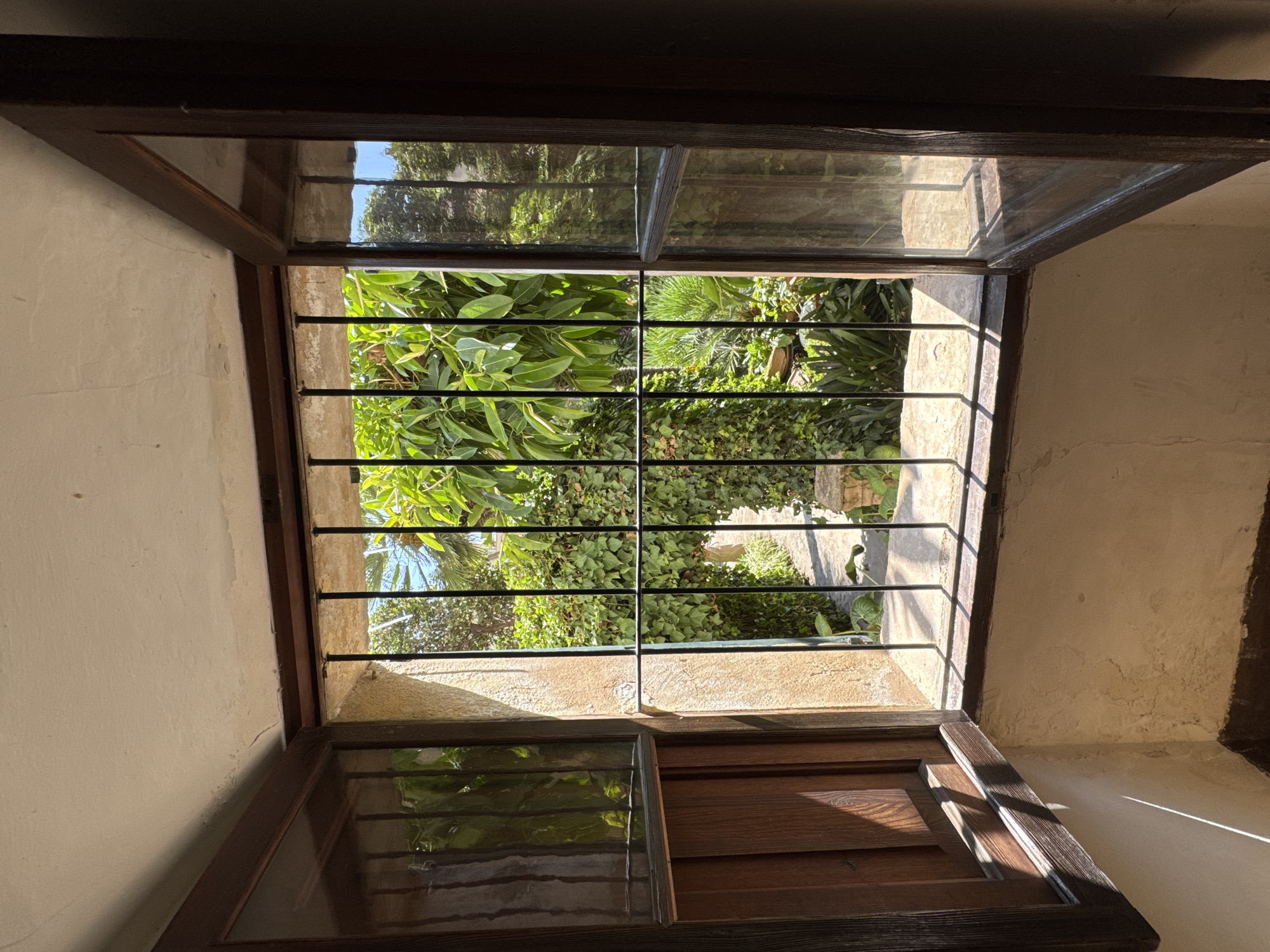 The image depicts a view through an open window in Palma de Mallorca, Spain. The window has dark wooden frames and is fitted with black metal bars. Sunlight streams through the window, casting distinct shadows on the interior walls, which are textured and a light cream color. To the left, a wooden shutter is partially closed, revealing its paneling.
The exterior view through the bars shows a lush garden. Large green leaves from trees are prominent, along with dense ivy climbing on a wall or structure. There are also other tropical-looking plants and foliage. A pathway or paved area is visible in the background, leading into the garden. The overall impression is one of a sunlit, tranquil courtyard or garden area viewed from inside a building. The architectural style suggests an older building, possibly a traditional Mallorcan home or hotel. There are no people visible in the image.