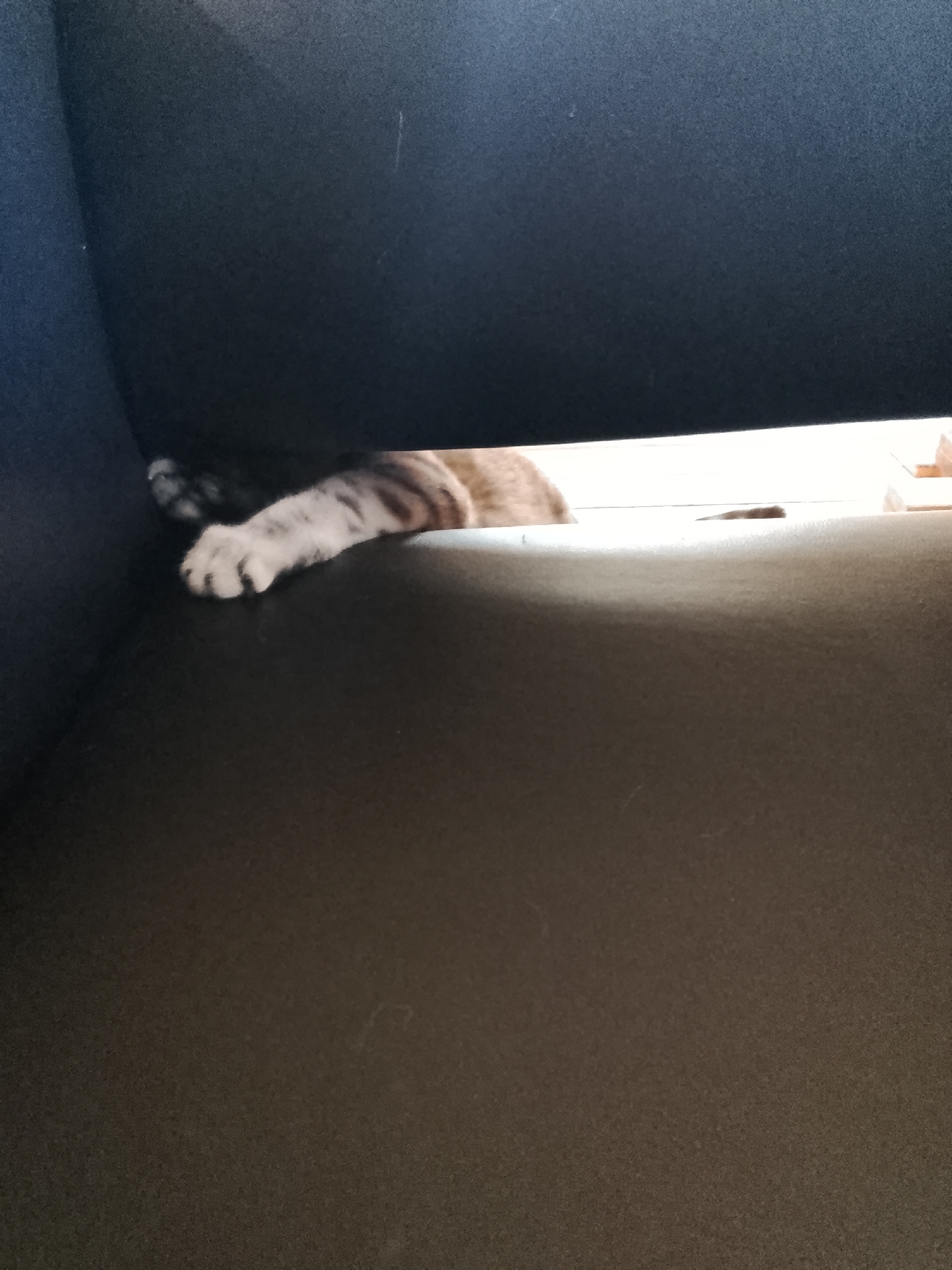 The image depicts an indoor domestic environment within Высокиничи, Russia. A domestic cat's front paw, exhibiting white fur with distinct dark tabby stripes, is visible in the lower left foreground. A segment of the cat's light brown, striped torso is partially visible, positioned beneath a dark, upholstered surface, likely an armrest or cushion of a furniture item. The paw rests upon a separate dark, fabric-covered surface, consistent with the base or seat of the same furniture. The background, above the cat and behind the upper dark surface, reveals an indistinct, brightly illuminated area, indicating an interior room. Faint lighter-toned objects, possibly wooden structures, are discernible on the right side of this background. No human subjects or direct interactions are observed. The specific interior location within Высокиничи cannot be identified.