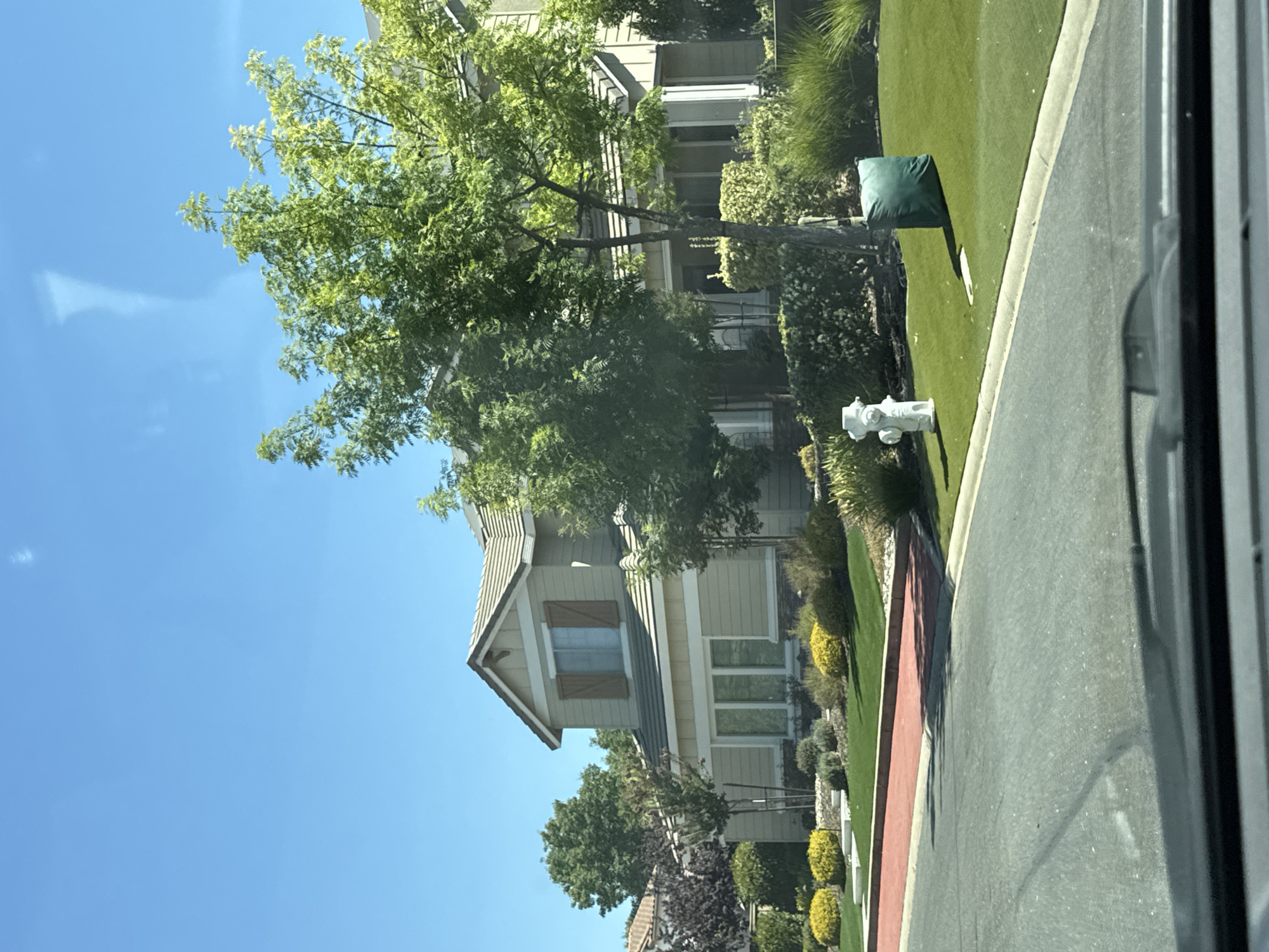 The image captures a suburban street scene in Roseville, United States, under a clear blue sky. A two-story house with beige siding and brown shutters is visible on the right side of the frame. The house features several windows, a tiled roof, and landscaping with green bushes and yellow flowers. In front of the house, a white fire hydrant stands on a patch of artificial turf. A large green bag is also present on the turf. A paved road with a red painted section is in the foreground, suggesting a driveway or pedestrian crossing. Trees with lush green foliage are scattered throughout the scene, adding to the suburban residential feel. The image appears to have been taken from a vehicle, as indicated by the partial view of a car's dashboard and windshield wipers at the bottom of the frame.