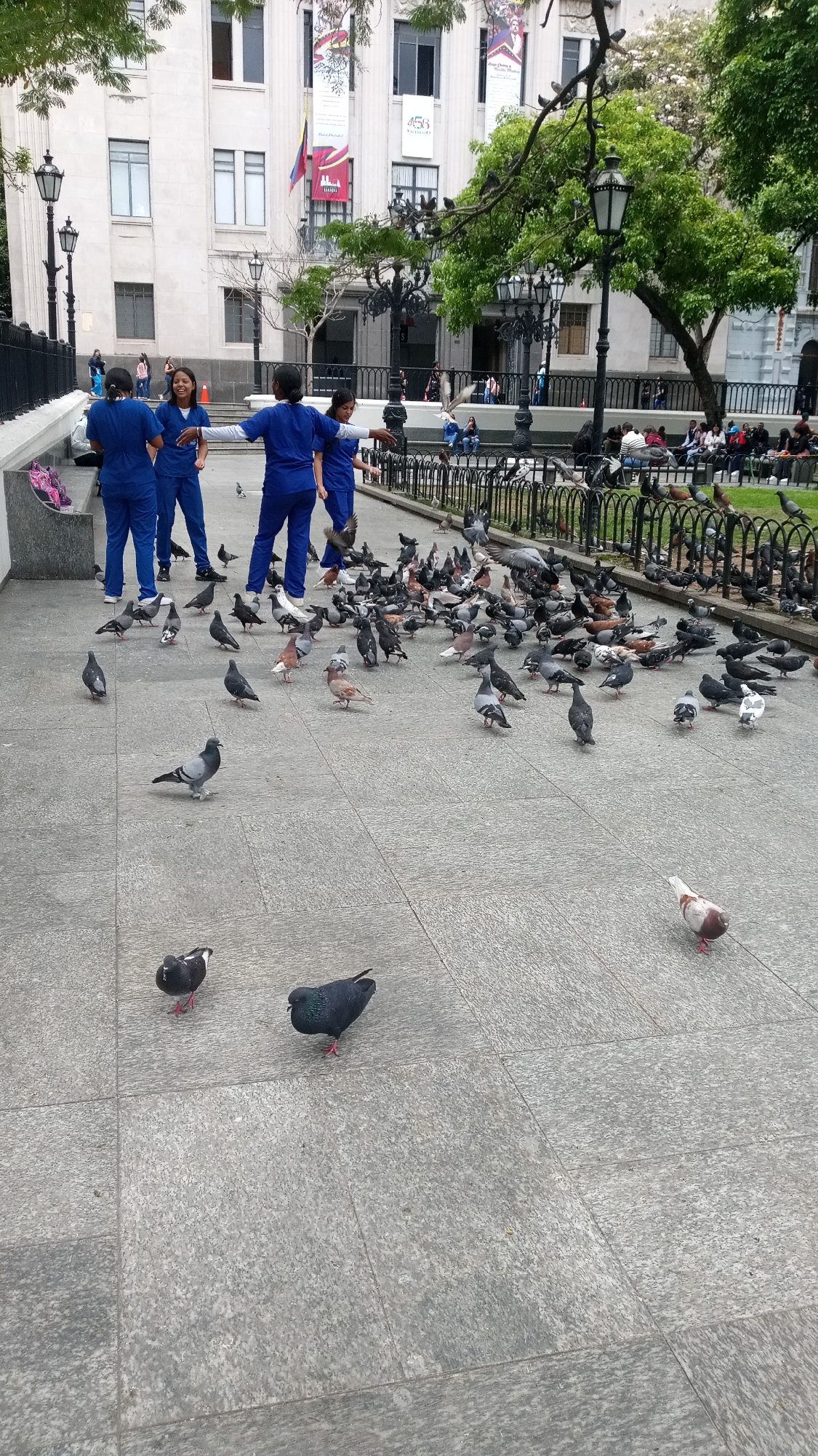 The scene captures a group of four individuals, all clad in matching blue uniforms, interacting with a large gathering of pigeons in what appears to be a public square or park. The location is situated in front of a multi-story building adorned with banners and flags. The building's architectural style suggests an urban setting. The individuals in blue seem to be engaging with the pigeons, possibly feeding them, as the birds are clustered around them. The foreground features paved stone, while the background reveals a wrought-iron fence separating the immediate area from a grassy patch where people are sitting. Street lamps and trees are interspersed throughout the square.