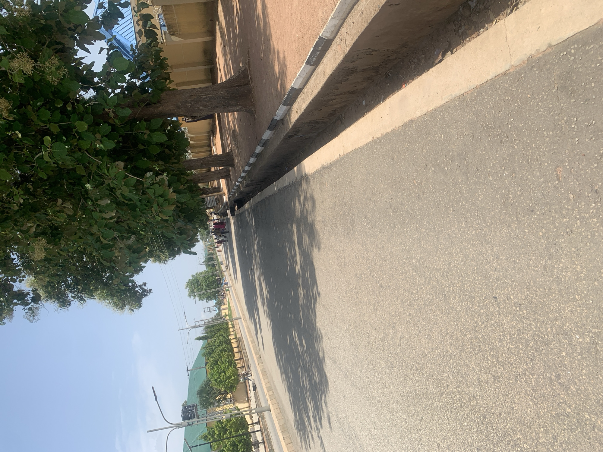 The image depicts a street scene in Jalingo, Nigeria, oriented with the top towards the left. The foreground is dominated by an asphalt road, angled diagonally. To the left of the road, a curb separates it from a sandy strip with a drainage ditch. Beyond the ditch, a row of trees with lush green foliage lines the sidewalk, their trunks visible. Behind the trees, a building with a light-colored facade and a blue roofline is partially visible. Shadows from the trees are cast across the road and the sandy area, suggesting it is daytime.
In the background, the street continues, with more trees and buildings visible. Several streetlights are scattered along the sidewalk. A few people are seen walking or standing further down the street, and a vehicle is parked in the distance. The sky is clear and blue, indicating fair weather. The overall impression is of a typical urban street in a tropical or sub-tropical climate. There is no visible text in the image.