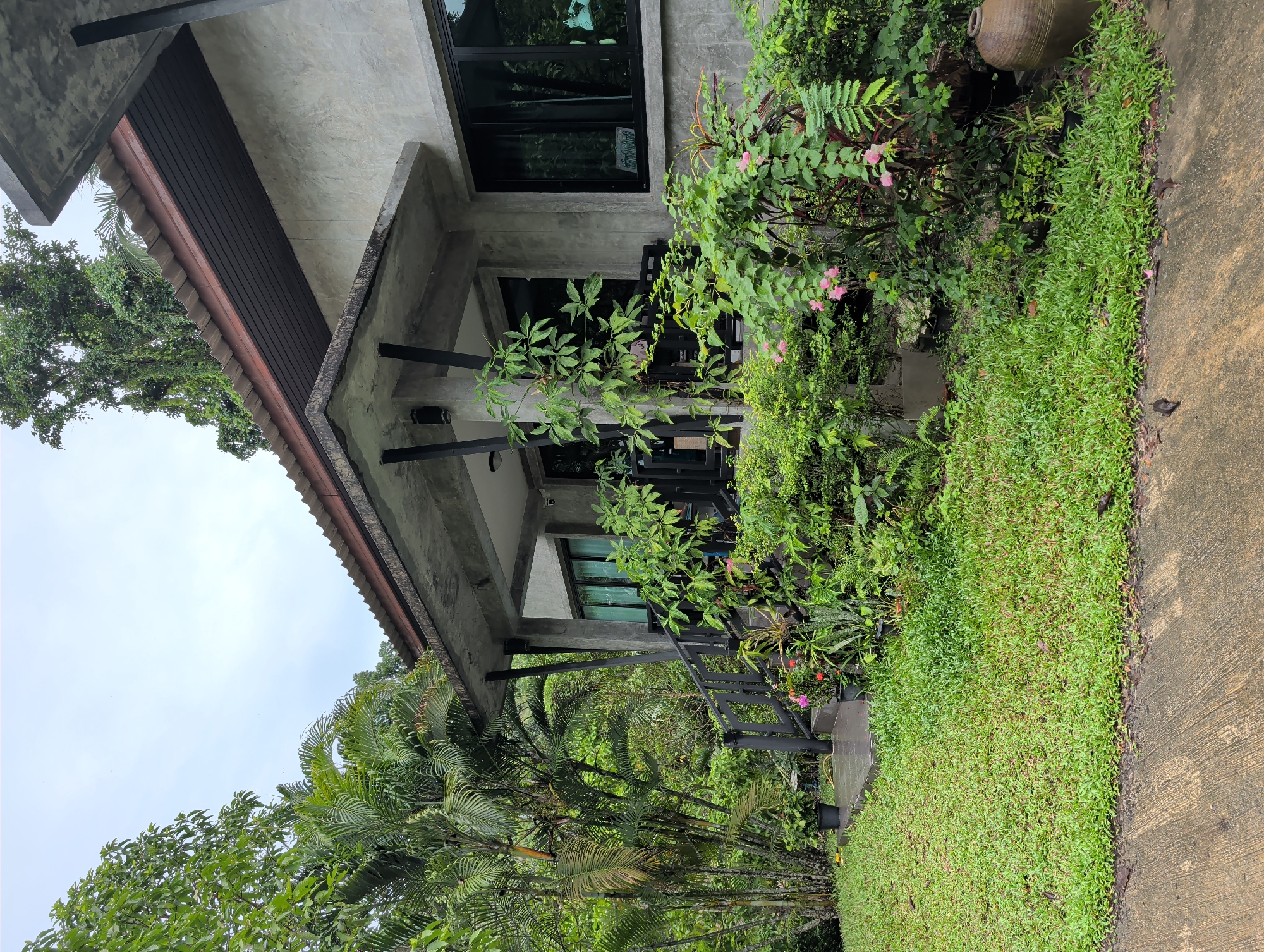 The image depicts the exterior of a modern-style building in Ko Pha-ngan, Thailand. The building features a gray concrete structure with a dark-colored roof and large windows. Lush tropical vegetation surrounds the building, including palm trees, shrubs, and flowering plants. A concrete walkway borders the edge of the vegetation. The sky is overcast.