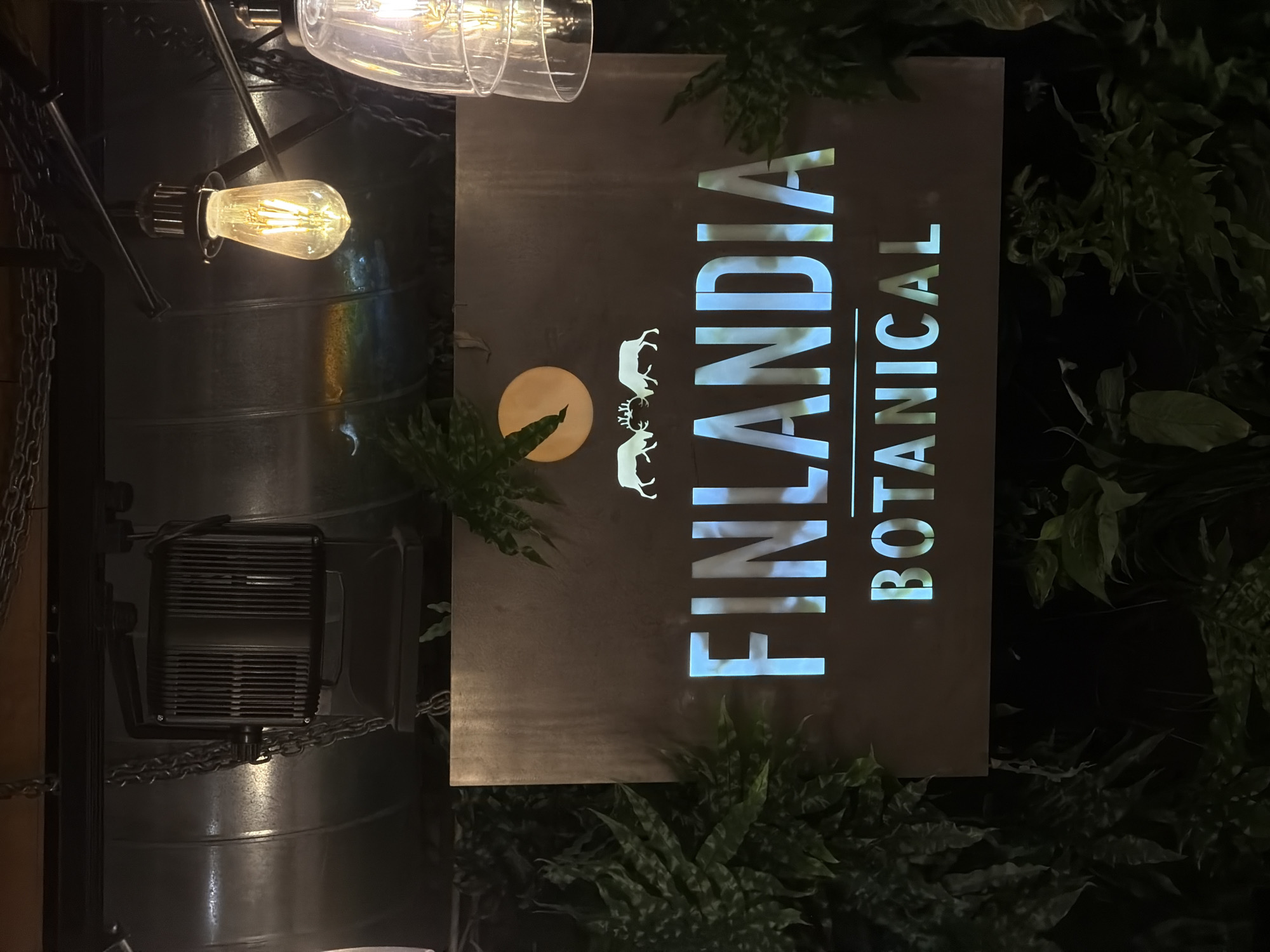 This media file presents a dimly lit interior scene, likely a commercial establishment in Sofia, Bulgaria, characterized by a blend of industrial and botanical aesthetics. The central feature is a vertical sign that glows with the words "FINLANDIA BOTANICAL" in prominent, light blue-white capital letters against a dark, possibly metallic, background.
Above the word "BOTANICAL" and to the left of "LANDIA", a graphic element is visible: a pale circular shape resembling a full moon, overlaid with the dark silhouettes of two deer or reindeer, one standing and the other appearing to graze or look downwards.
The setting incorporates several design elements. On the left side of the frame, a large, silver-grey metallic cylindrical structure, possibly a ventilation duct or decorative column, extends vertically. Dark metal chains are draped around or attached to this structure, enhancing an industrial feel. Various light sources contribute to the warm and moody atmosphere. A single Edison-style bulb, with a visible glowing filament, is prominently featured in the upper left, casting a warm amber light. Another multi-bulb fixture is partially seen at the very top. Further down the metallic column, a dark, rectangular object with horizontal grilles, possibly a speaker or part of a ventilation system, is affixed.
Lush green plants, mainly ferns and other broad-leaf foliage, are strategically placed around the sign, both in the foreground and background, reinforcing the "botanical" theme implied by the signage. The overall dim lighting with focal illumination strongly suggests an evening or nighttime setting. No people are visible, leaving the focus on the decorative and branding elements of the venue. The name "FINLANDIA" combined with the reindeer graphic hints at a Nordic or Scandinavian influence on the establishment's theme.