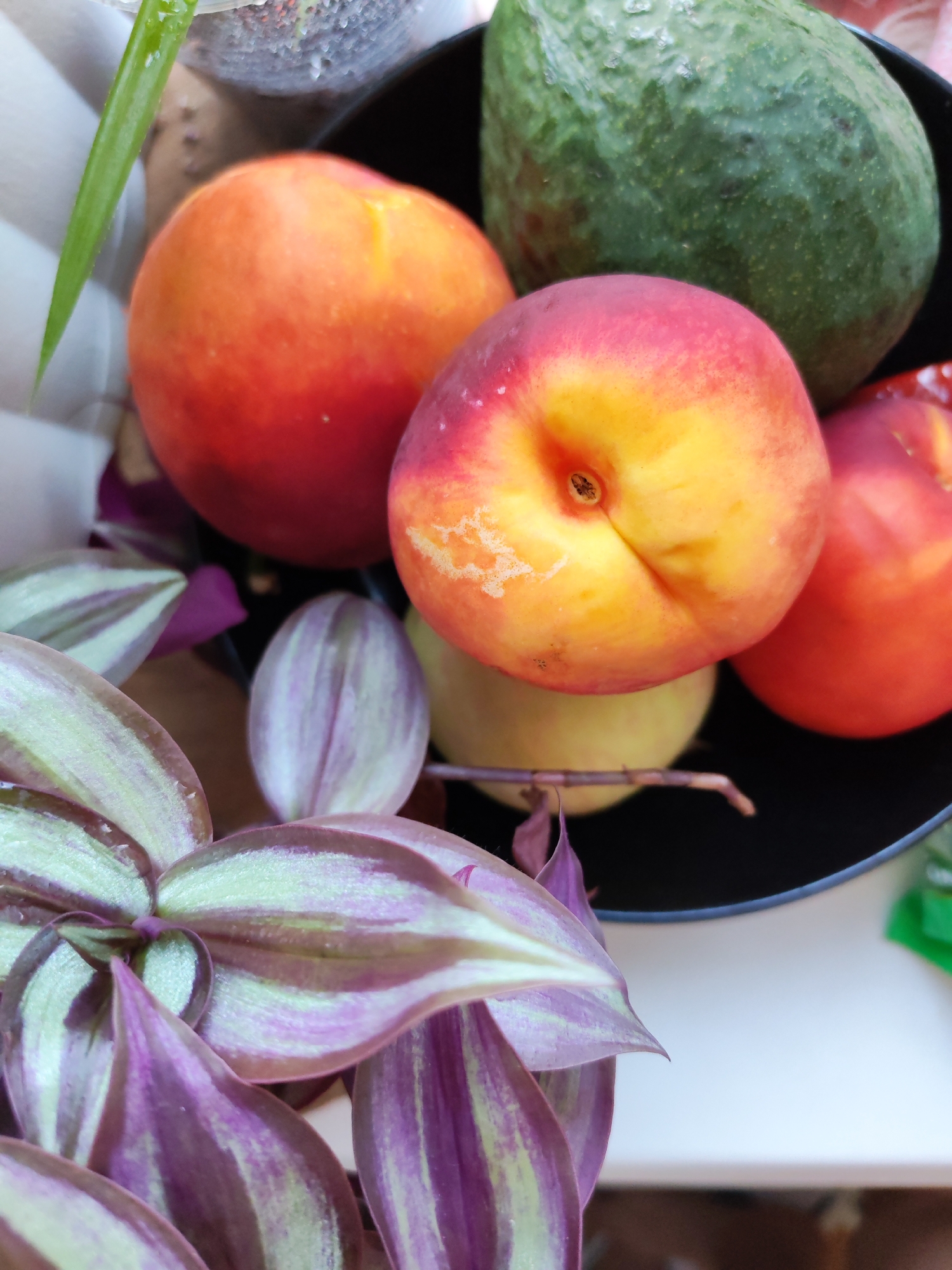 The image shows a close-up, overhead view of a black bowl containing various fruits and a plant. In the bowl are at least three peaches or nectarines, with vibrant red and orange hues, and one avocado with a textured green skin. In the foreground, the leaves of a plant with purple and green striped patterns are visible, some of which appear to be trailing over the edge of the bowl. The lighting suggests an indoor setting. There is no identifiable location within the city of Izhevsk, Russia, or any indication of human activity.