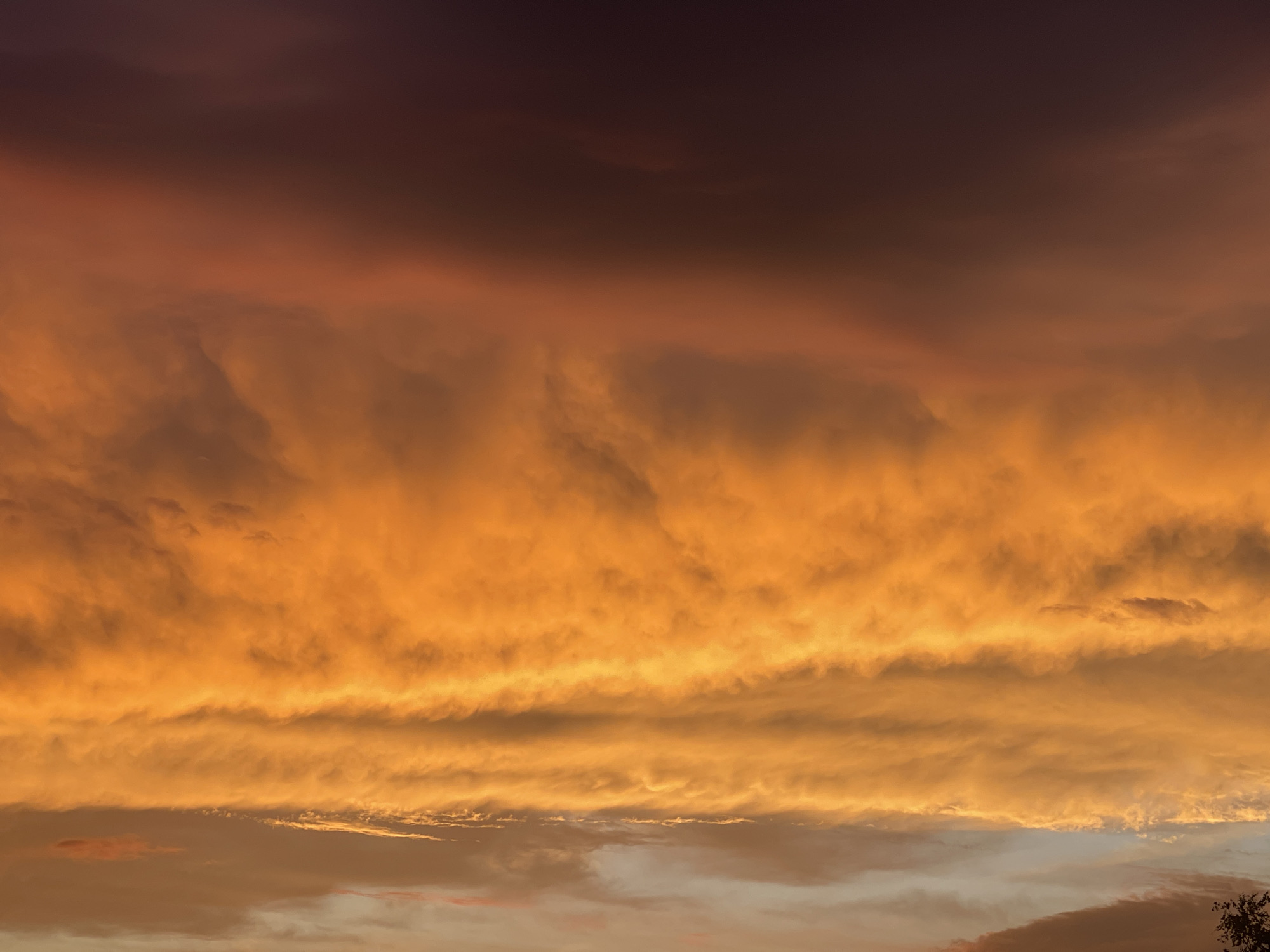 The image shows a dramatic sunset with vivid orange and dark purple clouds filling the sky. There are no people, subjects, or specific objects visible in the scene, only the vast expanse of the sky and its atmospheric conditions. The environment is entirely atmospheric, characterized by the intense colors and textures of the clouds during twilight. There is no indication of the city of Bluewater, Canada, or any specific urban or natural features.