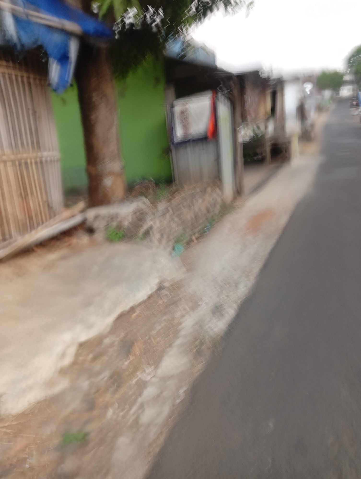 The image depicts a blurry street scene in Dukuhlor, Indonesia. On the left side of the frame, a wooden fence is partially visible, with a large tree trunk and a green wall behind it. A blue tarp is also present above the fence. A narrow, unpaved path runs alongside the fence and leads towards a few dilapidated structures, suggesting a residential area with modest housing. The path appears to have some debris and vegetation. To the right of the path is a dark asphalt road, also blurred due to motion. The overall impression is of a quiet, possibly rural or semi-urban street on an overcast day. There are no visible people or specific actions occurring in the scene.