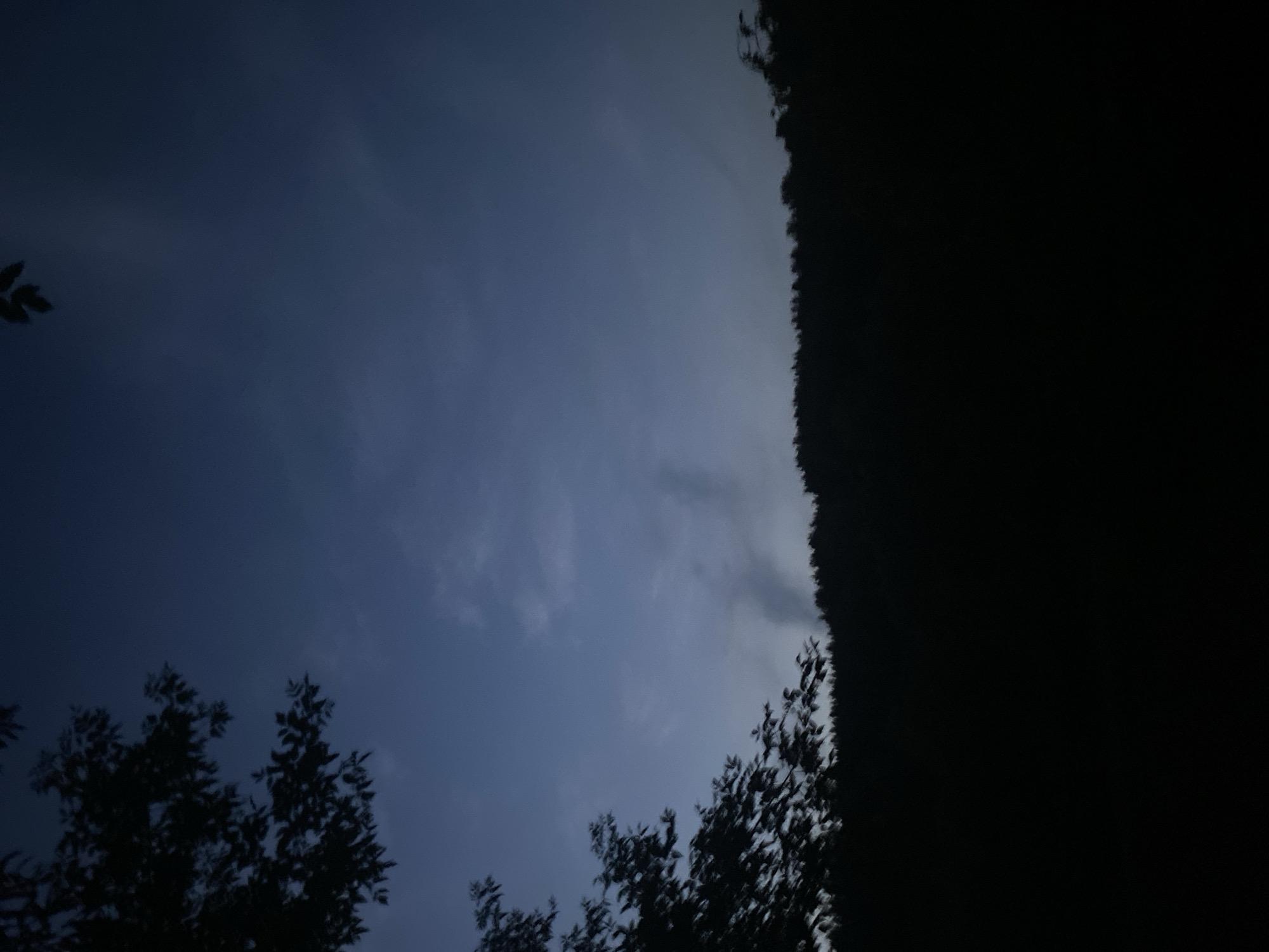 A dark, low-angle shot shows a silhouette of trees against a twilight sky. The sky is a deep blue with faint clouds. The trees are dense and form a dark, jagged line across the horizon. The foreground is completely black, obscuring any ground details. There are no people or discernible man-made objects in the image. It is not possible to determine the location within Novosibirsk, Russia.