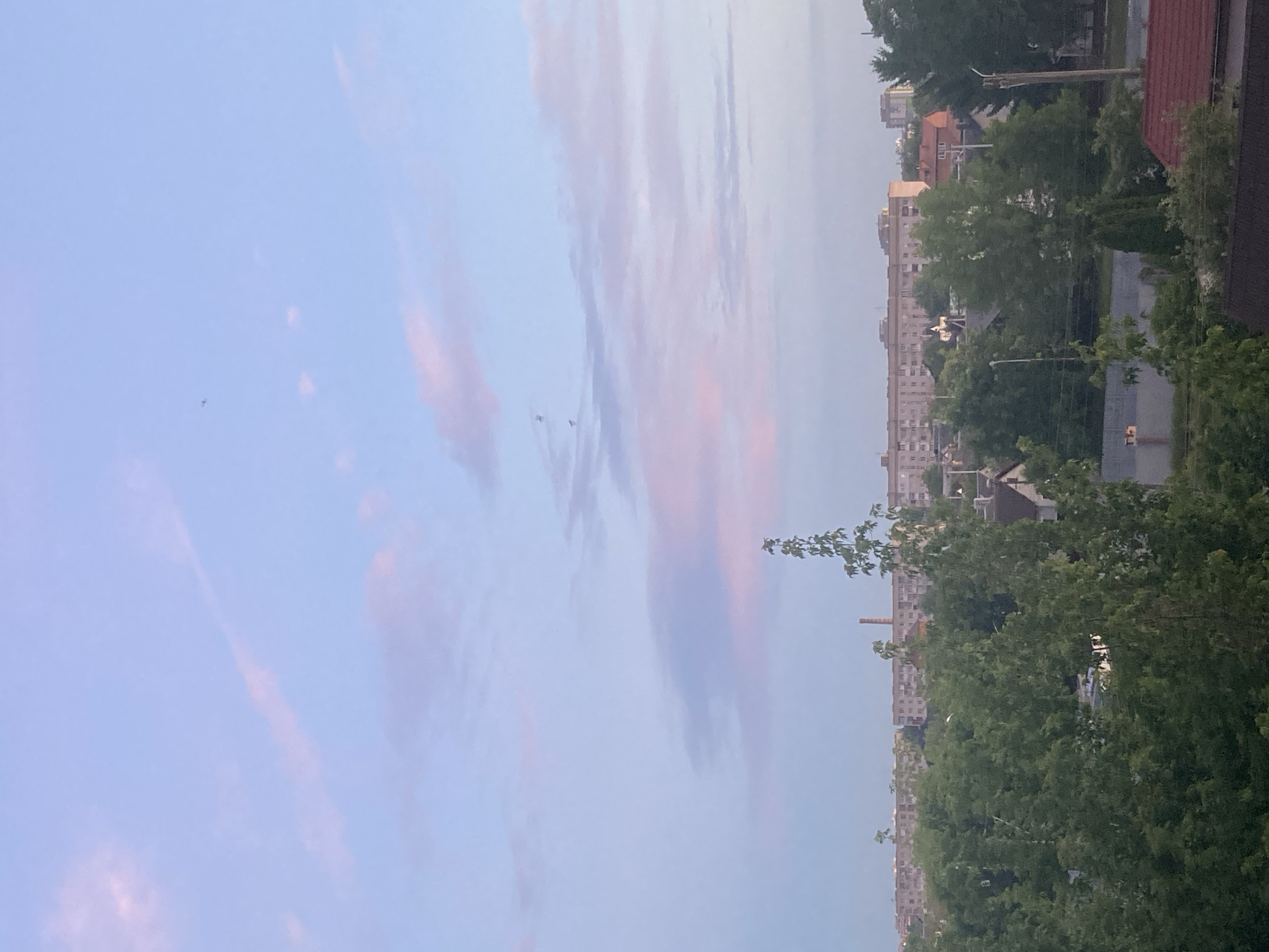 The image depicts a serene sky with soft pink and blue hues, suggesting either dawn or dusk. Several small aircraft are visible scattered across the sky. Below the sky, a dense canopy of green trees dominates the foreground and midground, obscuring much of the urban landscape. Peeking through the foliage are the rooftops of houses and apartment buildings, indicative of a residential area within a city. A tall, slender chimney rises above the buildings in the distance. The overall scene conveys a peaceful, naturalistic view of a city at a tranquil time of day.