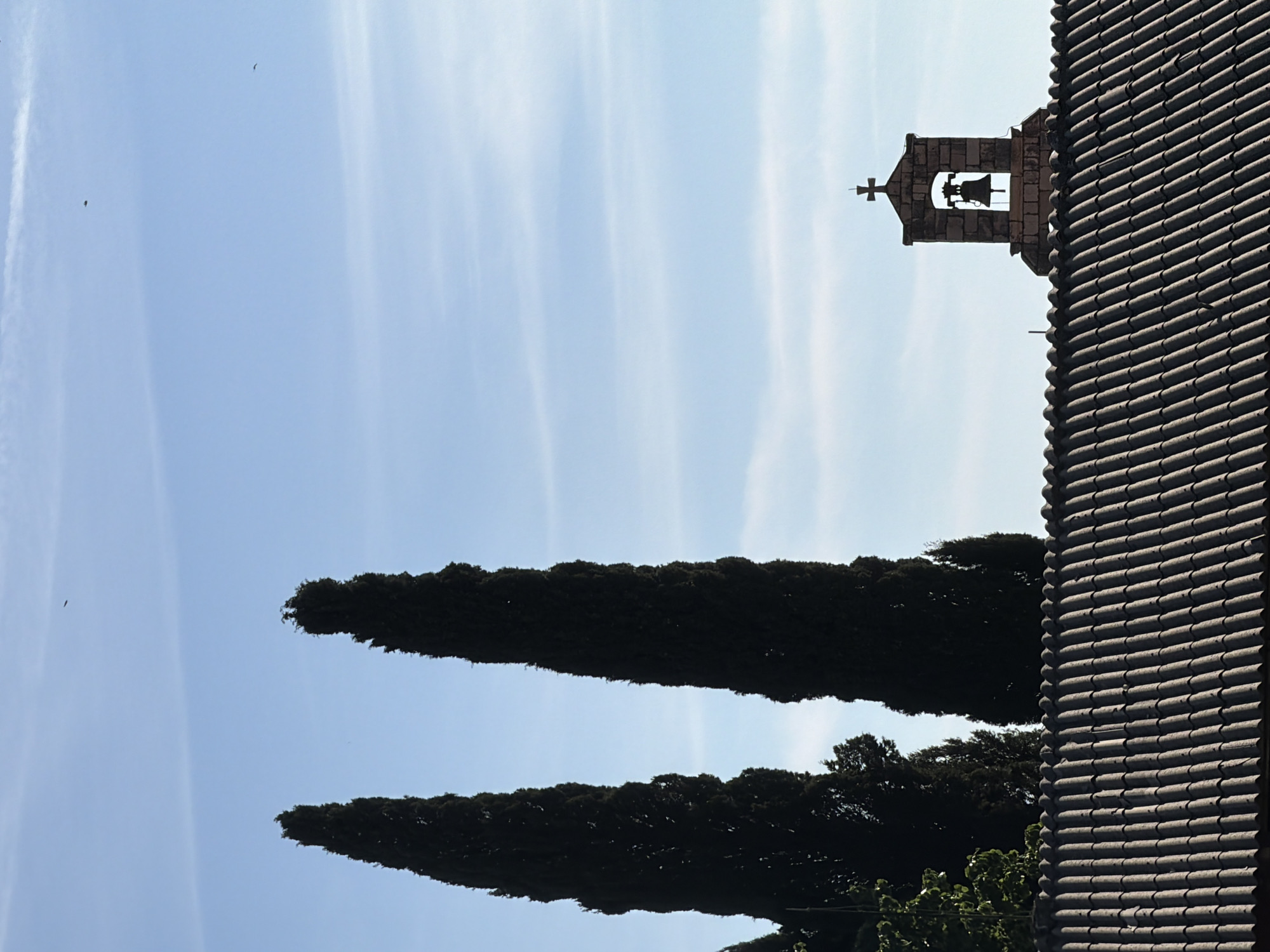 The image presents a vertical shot of a scene in Petrovac na Moru, Montenegro. On the right side is the textured roof of a building, presumably a church, with a bell tower adorned with a cross extending towards the sky. Two tall, dark, and slender trees stand vertically between the roof and the bright blue sky with streaks of white clouds. Tiny specks, potentially birds, are visible against the sky.