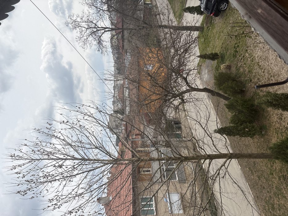 The image depicts an elevated view of a residential street in Cherven Bryag, Bulgaria, under an overcast sky, indicative of late winter or early spring. In the immediate foreground, a dark wooden balcony railing with a metal support rod is visible on the lower right.
The midground features a paved asphalt road curving from the lower-left towards the upper-right. Adjacent to the road on the right is an unkempt grassy area with patches of brown and green vegetation. Numerous deciduous trees, all bare of leaves, dominate the scene. A tall, slender tree with numerous seed pods is prominent in the center-left, with a smaller, gnarled bare tree to its right. A larger, mature bare tree stands further right. Several evergreen bushes and small conifers are planted along the grassy verge. A dark-colored SUV, possibly a Mercedes-Benz, is parked facing right on the grassy area or shoulder on the far right. A light-colored, amorphous object is partially obscured by foliage in the grassy area.
In the background, residential buildings with red-tiled roofs are visible. The structure directly across the street on the left is a multi-story building with a light-toned facade, featuring multiple rectangular windows, some with horizontal blinds, and a recessed balcony area. A blue sign is affixed to the building's left side. Beyond these immediate structures, additional buildings of varying heights and styles extend towards the horizon under a heavily clouded sky. No individuals are present in the depicted scene.