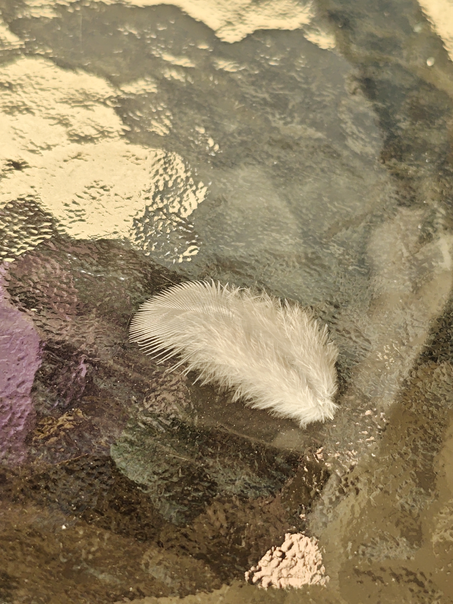 A small, white feather rests on a textured, reflective surface, possibly glass. The surface exhibits a pattern of raised bumps and indentations, creating a shimmering, distorted background. Underlying colors of purple, dark green, and brown are visible through the textured surface, suggesting it is transparent or translucent. The feather is positioned slightly to the right of the center, with its barbules fanned out, indicating it is a downy feather. The lighting creates highlights and shadows on the surface and the feather, adding depth and texture to the scene. The image is a close-up shot, focusing on the detail of the feather and the surface it lies on. No people, actions, or interactions are visible in the image. The location in Mława, Poland, is not discernible from the visual information provided in the image.