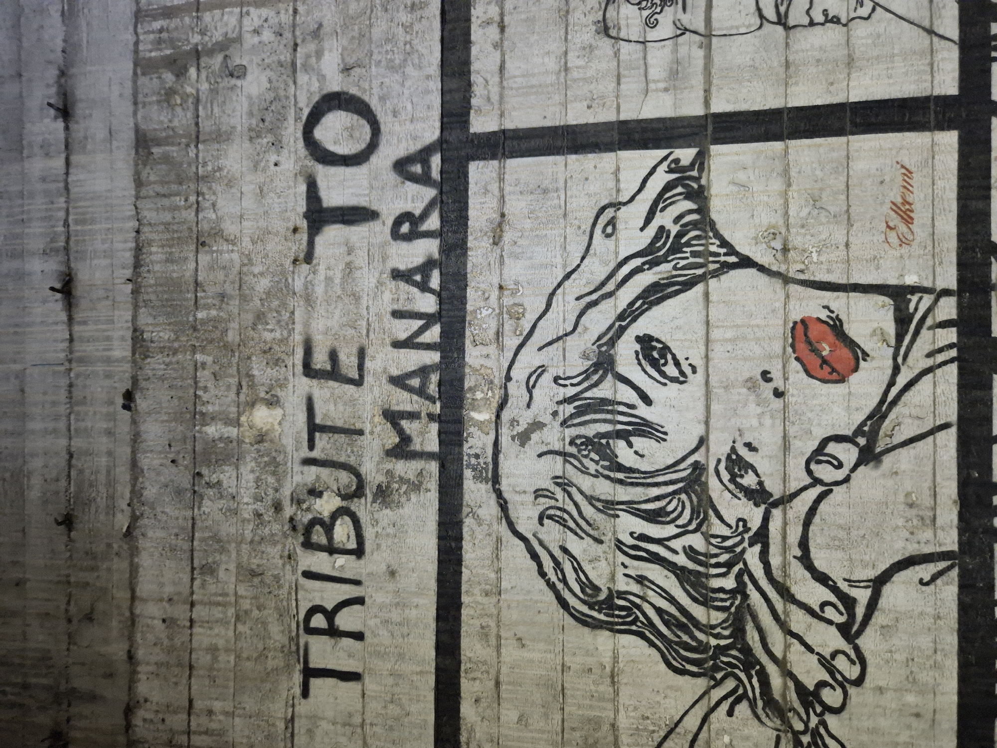 The image displays graffiti on a weathered, textured concrete surface. The graffiti consists of text and a stylized illustration of a person's face. The text reads "TRIBUTE TO MANARA" in large, black, stencil-like letters. Below the text, a black line separates it from the illustration. The illustration is a black and white drawing of a person's head and shoulders, with the face prominently featured. The person has dark, wavy hair, prominent eyes, and red lips. A signature, "Elkemi," is written in red script below the illustration. The concrete surface appears to be part of a wall or structure, with horizontal lines and visible texture. The image is an outdoor shot, with natural lighting.

This graffiti is located on the exterior wall of the Ex-Fonderia Piaggio building in Taranto, Italy. The Ex-Fonderia Piaggio building is a former industrial site that has become a canvas for street art in recent years, a significant part of the urban regeneration and cultural landscape of the city.