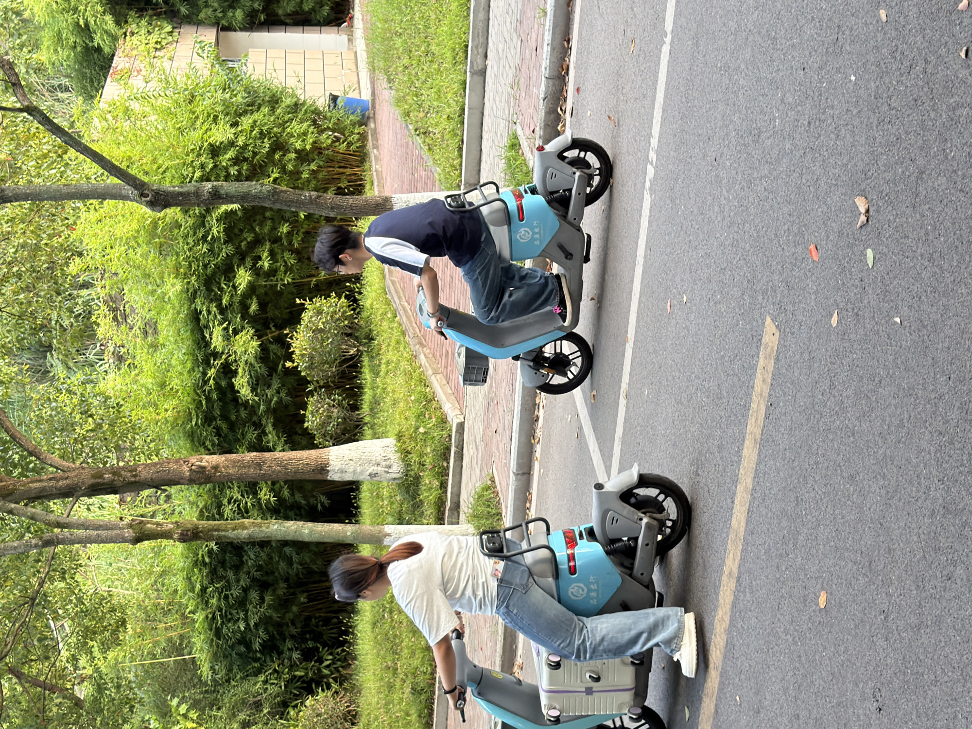 Two individuals are riding shared electric scooters on a paved road in Jiangjin, China. The person in the foreground, a woman with brown hair pulled back in a ponytail, wears a white t-shirt and blue jeans. She is riding a light blue and grey scooter with a white suitcase attached to the front. The person in the background, a young man with dark hair and glasses, wears a dark blue and white t-shirt and blue jeans. He is riding a similar light blue and grey scooter. They are riding parallel to each other, with a sidewalk and a lush green bamboo grove with trees bordering the road to their right. The road has a yellow dashed line indicating a lane division. Fallen leaves are scattered on the asphalt.