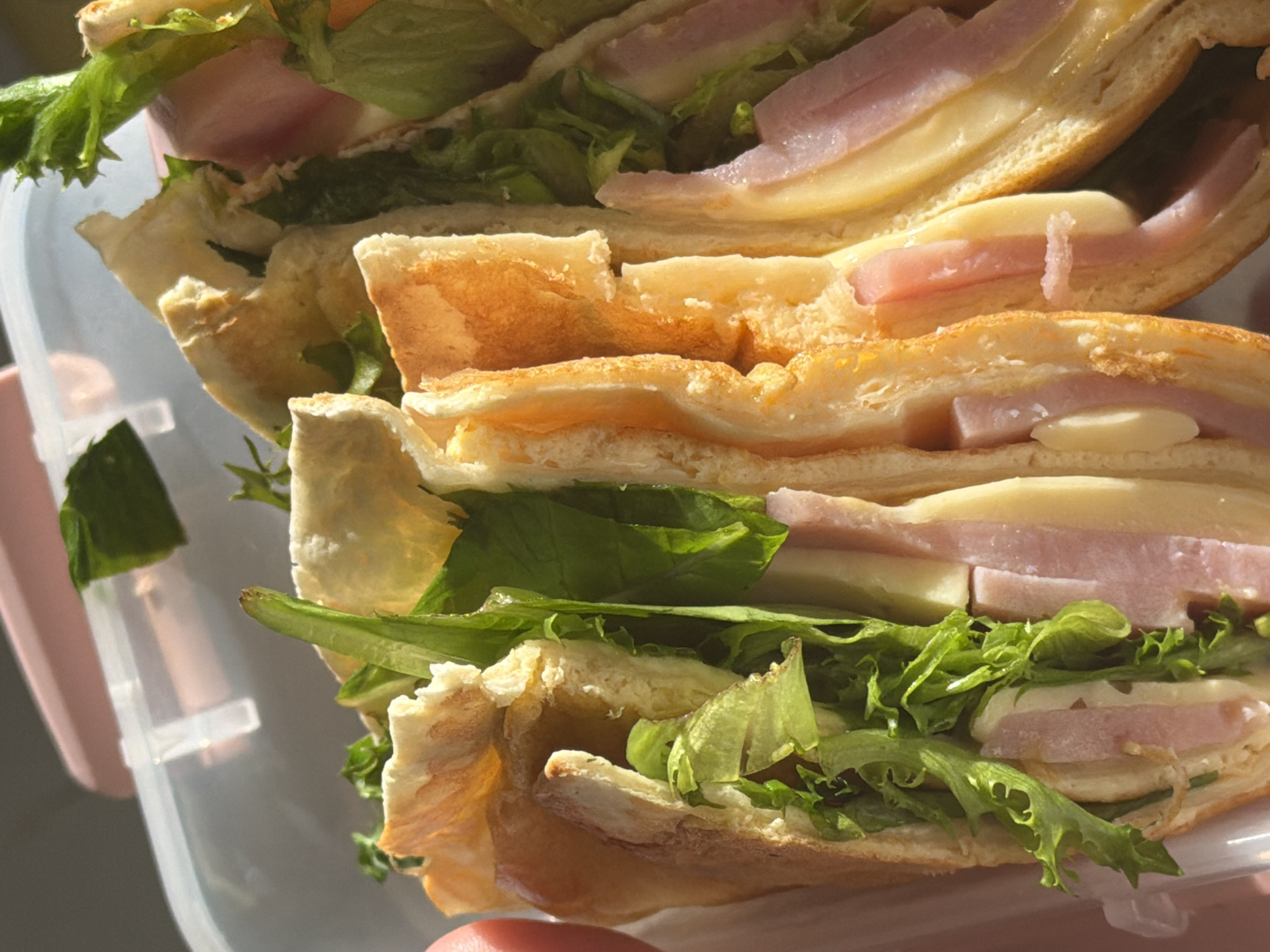 A close-up shot shows a partially cut sandwich in a clear, presumably plastic, container. The sandwich consists of layers of flaky bread, what appears to be ham and cheese, and green leafy lettuce. The container is being held by a person, only their fingers are visible. The setting is not definitively identifiable as Chaikovsky, Russia, and the picture lacks information to determine the exact location.