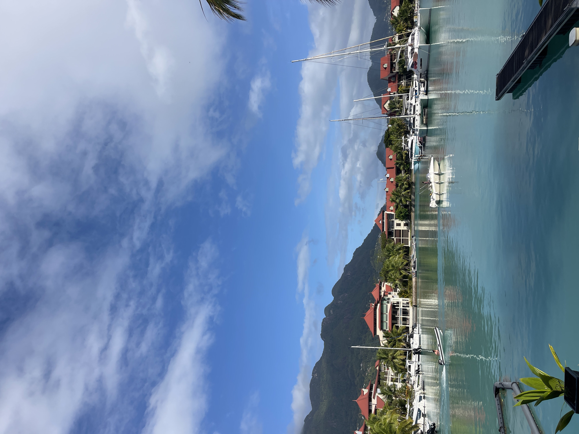 A wide shot captures a serene harbor in Providence, Seychelles, on a bright, partly cloudy day. The turquoise water of the bay is calm, reflecting the clear blue sky and scattered white clouds. In the foreground, a dark, wooden pier extends into the water from the right, with a small potted plant featuring long, green leaves to the left.
Across the bay, a row of multi-story buildings with distinctive red-tiled roofs lines the shore. These buildings appear to be part of a resort or residential complex, interspersed with lush green palm trees. Behind the buildings, rolling green hills and mountains rise, some with a slight haze or cloud cover clinging to their peaks.
Several sailboats and smaller motorboats are docked in the harbor. One small motorboat is actively moving across the water in the middle ground, with at least one person visible onboard. Another larger white motorboat is also visible further back. The scene exudes a sense of tranquility and leisure, characteristic of a tropical coastal environment.