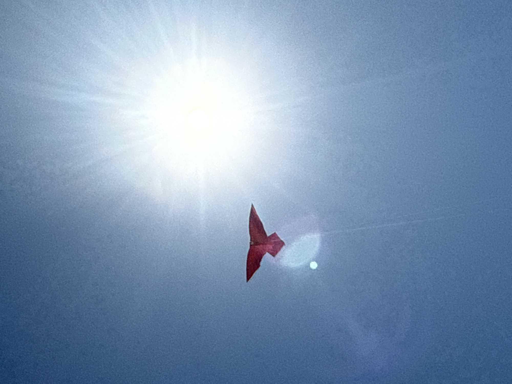 A red kite shaped like a bird is flying in a clear blue sky. The sun is bright and high in the sky, causing lens flare. The kite is positioned to the left of the image, while the sun is to the right and slightly above the center. The kite appears to be attached to a string, which is barely visible against the sky. The overall scene suggests a breezy day, likely in an open area. The location is Kuta Selatan, Indonesia.
