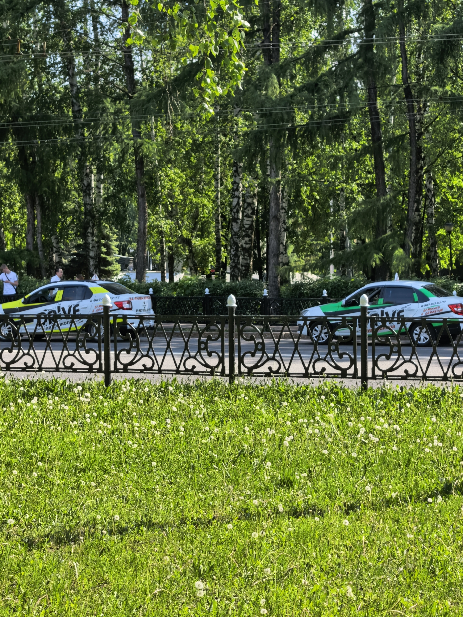 Two parked cars labeled "Drive" are on the side of a road in Sterlitamak, Russia. The road is separated from a grassy area by a black wrought iron fence. Behind the cars is a dense forest of birch and evergreen trees. Two people are standing next to the car on the left. The foreground is green grass with white dandelions.
