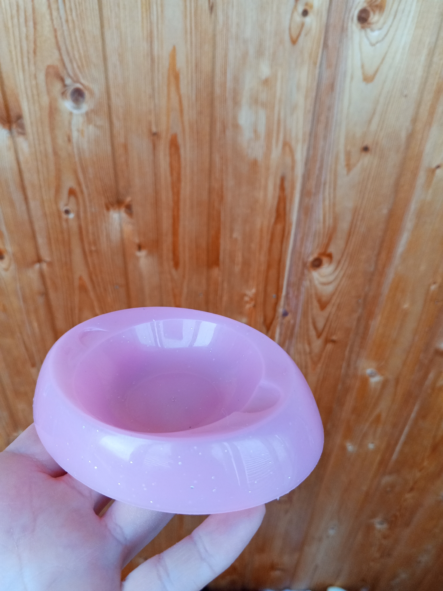 A person's hand is holding a light pink pet bowl with a glittery sheen. The bowl has an oval shape and a raised rim. The background consists of vertical wooden planks, likely part of a fence or wall, with visible knots and a warm, reddish-brown hue. The scene appears to be outdoors, and the lighting suggests it is daytime. There is no specific indication of the location being in Chistopol, Russia.