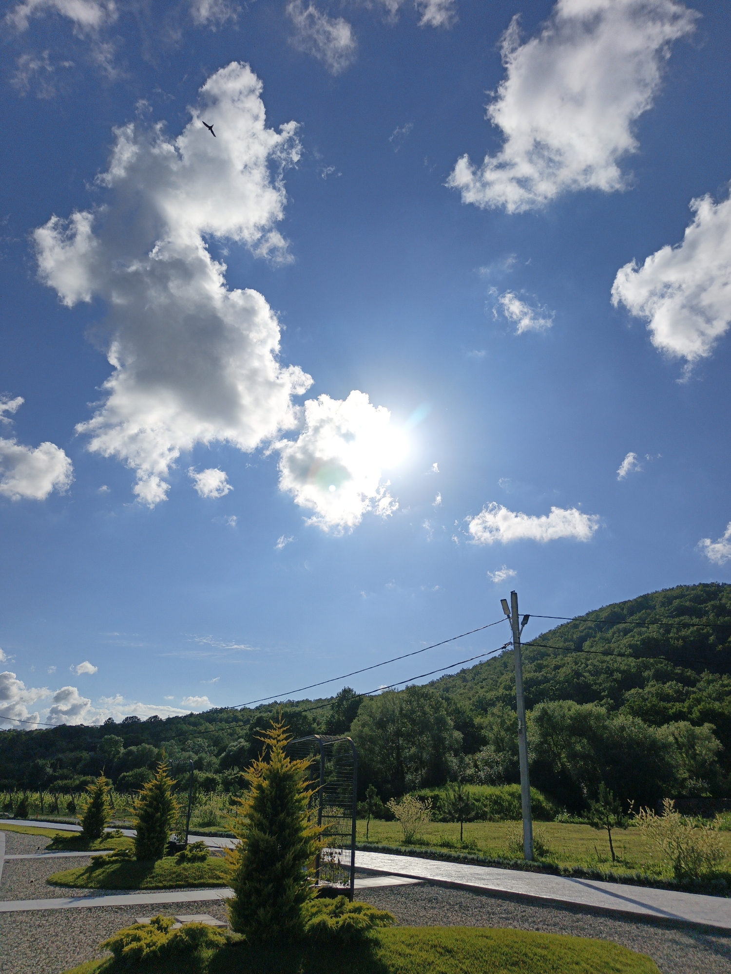 A vertical, wide-angle shot captures a bright, sunny day in Pshada, Russia. The sky is a vibrant blue, dotted with fluffy white clouds. In the upper left quadrant, a lone bird is in flight, silhouetted against a large cloud formation. The sun shines intensely, creating a lens flare in the center of the frame.
The lower portion of the image shows a landscaped area with green grass, gravel paths, and manicured evergreen trees. A paved pathway runs diagonally from the bottom right to the middle left. In the background, a lush, green, tree-covered hill rises steeply. A power line and utility pole are visible on the right side of the frame, with the pole extending from the bottom edge upwards towards the sky. The scene appears to be an outdoor public space, possibly a park or recreational area.