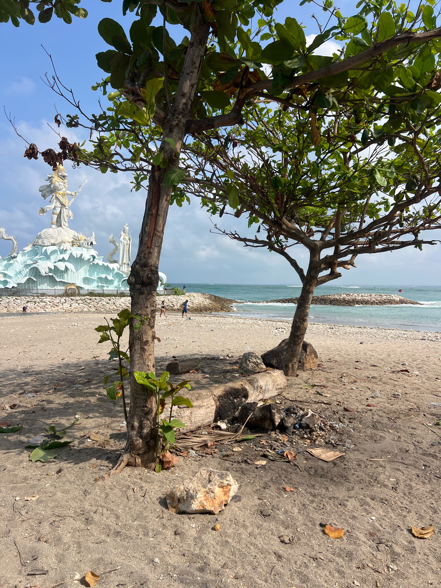 This image depicts a beach scene in Kuta, Indonesia, likely near the Dewa Ruci statue, a prominent landmark visible in the background. In the foreground, two trees with green foliage stand on the sand. One tree, closer to the viewer, has a thicker trunk and appears to be older, with some new growth near its base. The other tree, to the right, is younger and more slender. The sandy beach is littered with dried leaves, small stones, and some debris, including a piece of cardboard.
In the middle ground, people are visible on the beach. Some are walking, and a couple appear to be playing soccer. Beyond them, a breakwater constructed with rocks extends into the ocean, where gentle waves are breaking. The water is a turquoise green, and the sky is partly cloudy.
The background is dominated by a large, ornate white statue of a deity, likely Dewa Ruci, situated on a raised platform that resembles a wave or sea foam. The statue is surrounded by decorative elements, including what appear to be dragons. The overall impression is a serene beach setting with a touch of cultural artistry.