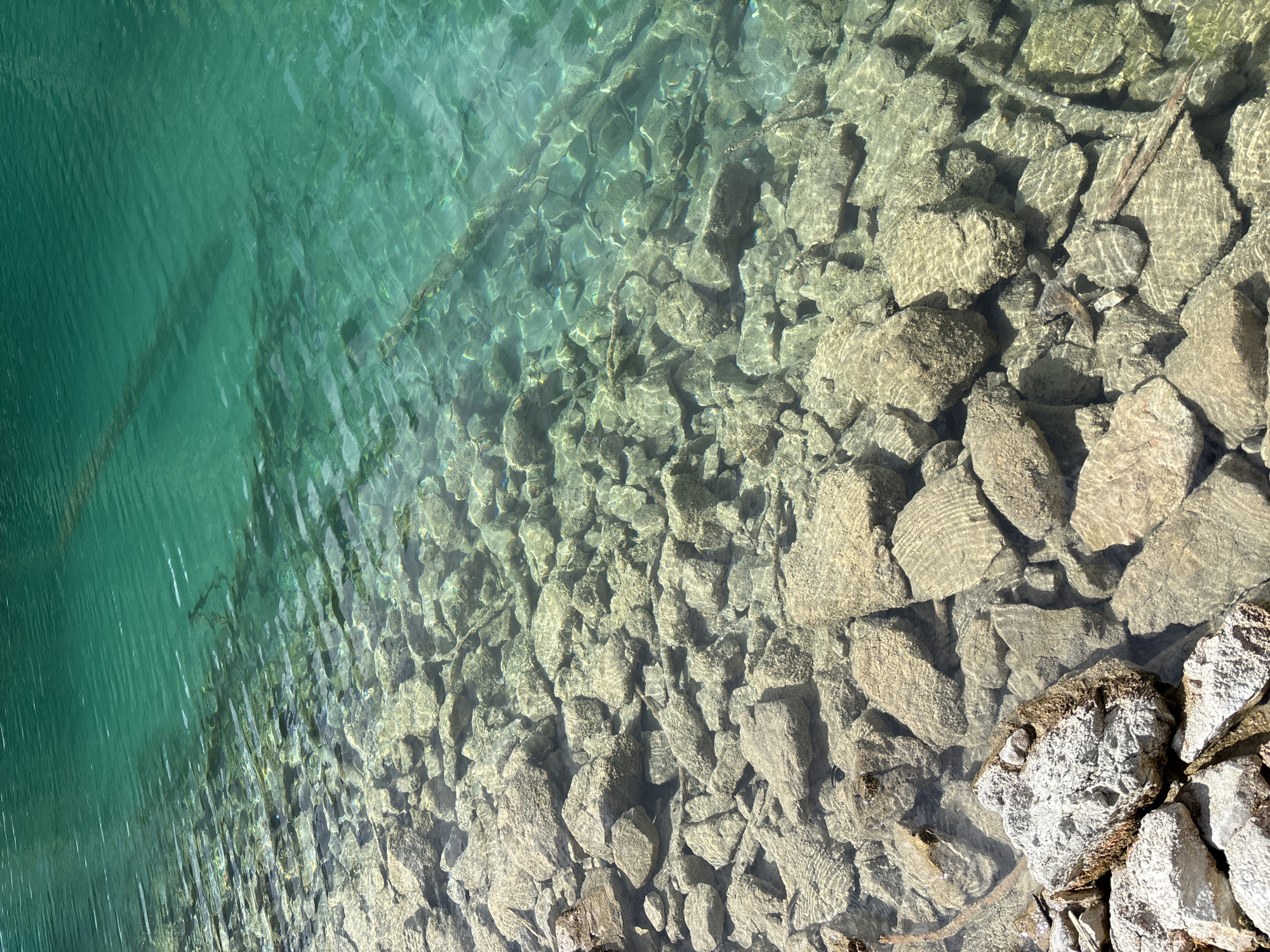 A vertical, close-up, eye-level shot shows the clear, turquoise water of an alpine lake in Grainau, Germany, with a rocky lakebed visible beneath the surface. The water is calm, with gentle ripples creating a shimmering effect on the submerged rocks. The lakebed is covered in a dense arrangement of light-colored, irregularly shaped stones of varying sizes. Some darker, elongated shapes, likely submerged branches or reeds, are also visible amongst the rocks. The water's color transitions from a lighter, transparent hue near the shore to a deeper, richer turquoise further out. The lighting suggests a bright, sunny day. No people or animals are present in the frame.