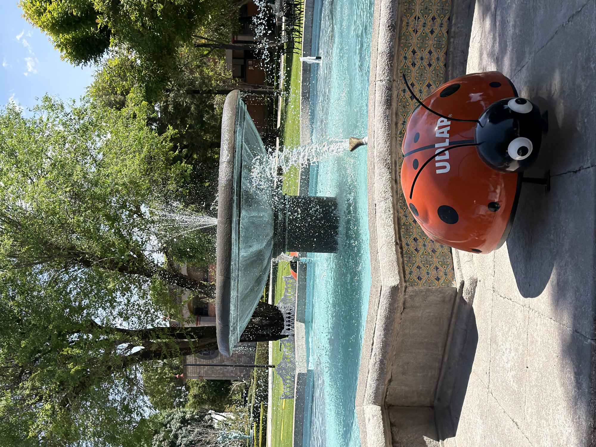 The image depicts a public square or park in San Andrés Cholula, Mexico, under bright daylight conditions. In the immediate foreground, positioned on a light gray stone pavement, is a large, stylized ladybug sculpture. Its body is predominantly orange with several black spots, and the white letters "UDLAP" are visible on its back. The sculpture features a black head with large white eyes and two black antennae. It casts a distinct shadow to its right.
Behind the ladybug, a multi-tiered stone fountain is active, with turquoise water filling its basins and spraying from various nozzles. The lowest basin's outer wall features decorative mosaic tiles in patterns of yellow, blue, and green.
In the mid-ground and background, a vibrant green lawn is visible, bordered by meticulously maintained hedgerows and several white, ornate metal benches. Beyond the lawn, large, mature trees with abundant green foliage dominate the scene, providing shade. Through the trees, sections of historical-style stone buildings with arched openings and a tiled roof are discernible, along with a visible street lamp. Further to the right, outdoor seating comprising black tables and chairs is present on another paved area. The sky above is clear blue with sparse white clouds. No people are visible within the frame.
