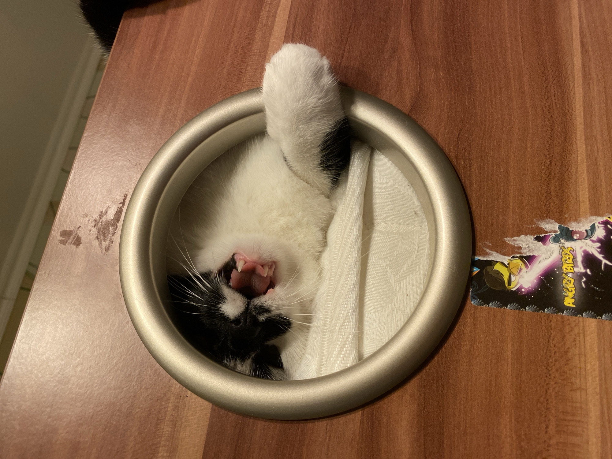 A black and white cat is yawning while sticking its head through a circular opening in a wooden surface. The cat is lying on a white, textured surface inside the opening. A portion of an "Angry Birds" sticker is visible on the wooden surface below the opening. The scene appears to be indoors, with a tiled or textured wall visible in the background above the wooden surface. No specific location in Protvino, Russia can be determined from the image.