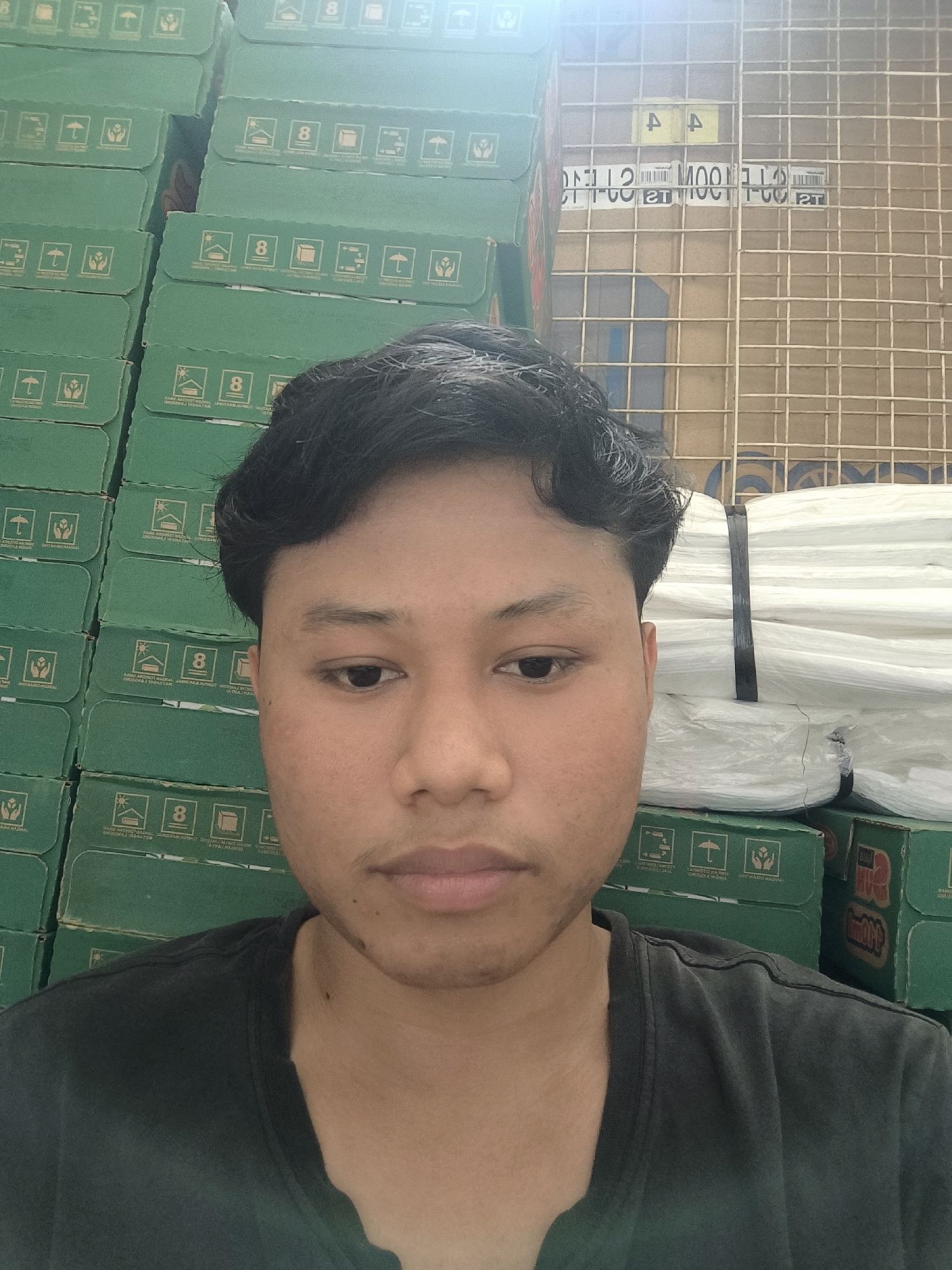 A young Indonesian male, appearing to be in his late teens or early twenties, is positioned in the foreground of the image, looking directly at the camera. He has dark, wavy hair styled away from his face and a medium complexion. He is wearing a dark, crew-neck t-shirt.
The background is filled with stacks of green cardboard boxes, many featuring various symbols and text printed on them. To the right of the boxes, a white object is bundled and secured with a black strap. Behind this, a wire grid is visible, with some cardboard or paper material showing through it.
The overall scene suggests an indoor environment, possibly a storage area or warehouse. The stacked boxes and the bundled white items indicate a setting related to goods or inventory. The specific location of Tarakan, Indonesia, is not visually ascertainable from the provided image.