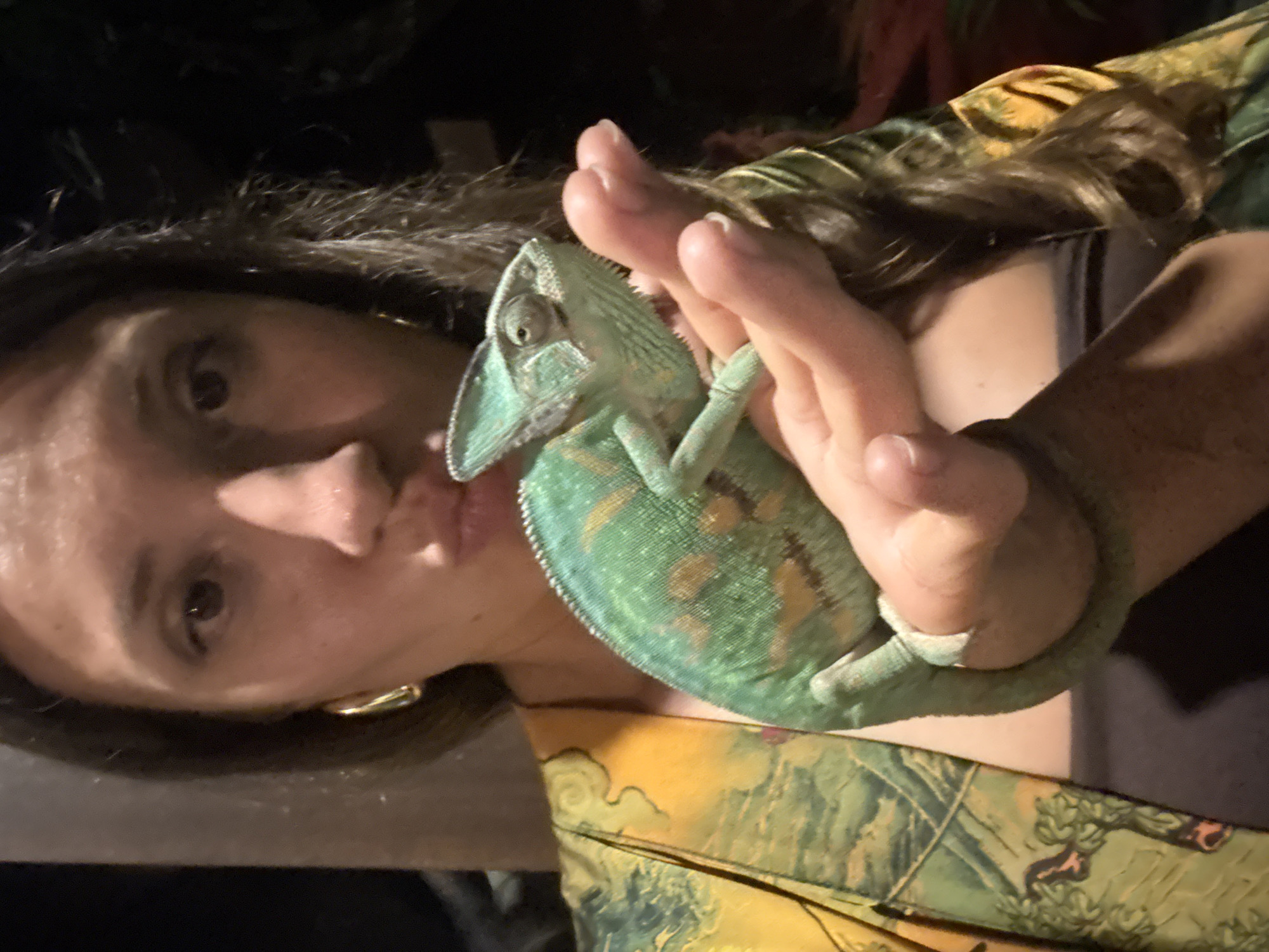 A person is holding a chameleon in their right hand. The person has long dark hair and is wearing a yellow and green patterned garment. The chameleon is green with brown spots. The location is unknown and there is no indication it is Ungasan, Indonesia.