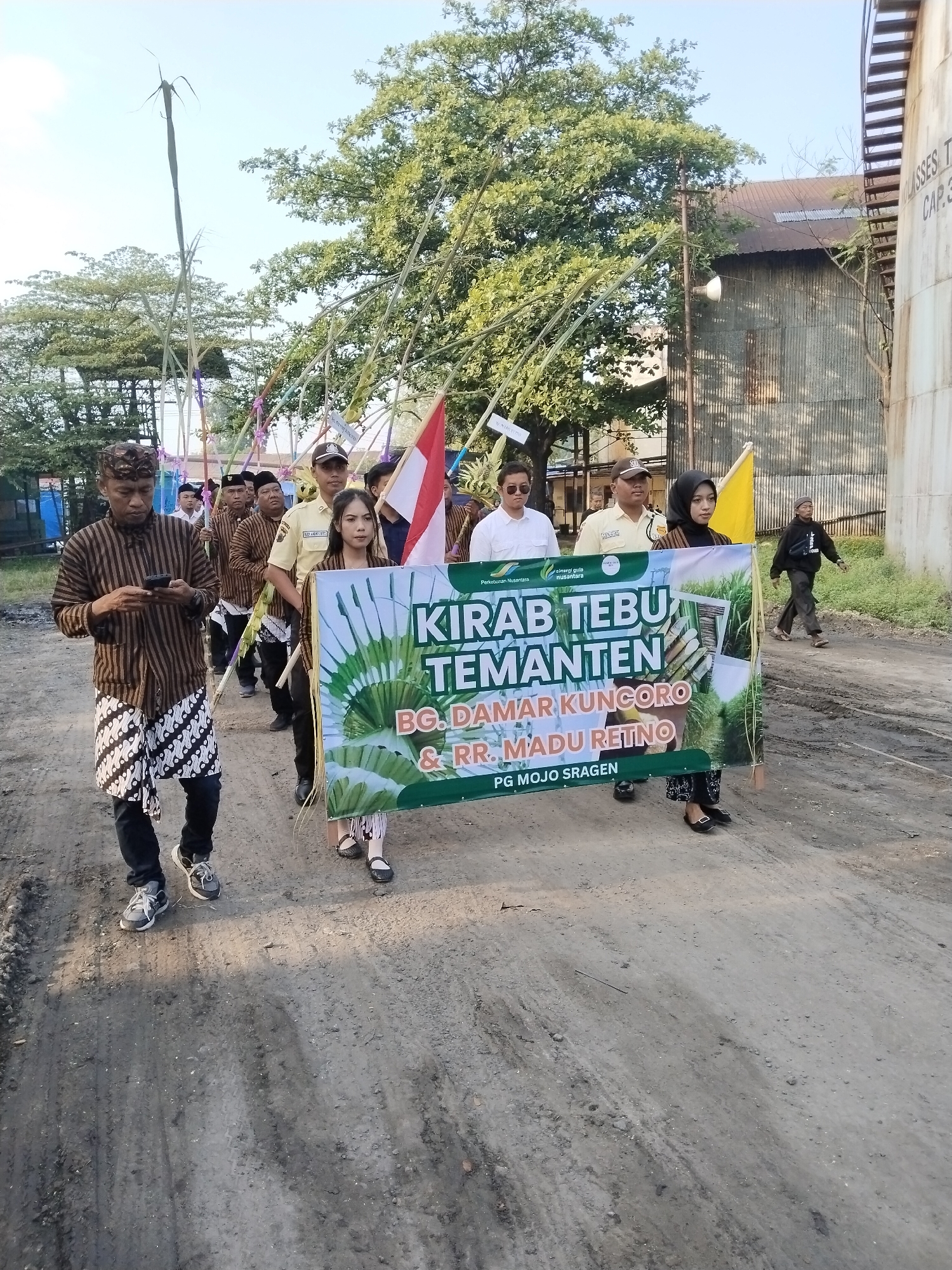 A procession is captured outdoors on an unpaved, dusty road, likely in Sragen, Indonesia, given the context of "PG Mojo Sragen" on the banner. The event appears to be a "Kirab Tebu Temanten" or "Sugarcane Bride Procession," as indicated by the prominent banner.
The group consists of several individuals, with approximately ten visible. In the foreground on the left, a man in traditional Javanese attire, consisting of a brown batik shirt and a patterned black and white sarong, walks while looking at his mobile phone. To his right, two individuals, a woman in a black headscarf and a patterned skirt, and a man in a yellow uniform shirt, hold a large green and white banner horizontally. The banner features images of sugarcane and text.
Behind the banner holders, more participants follow. Some carry long, thin stalks, possibly sugarcane, adorned with colorful ribbons, while others hold flags, including the red and white Indonesian flag and a yellow flag. The background features industrial structures, including a large building with a corrugated metal wall and a tall, light-colored cylindrical tank. Text partially visible on the tank reads "ASSES T" and "CAP." Lush green trees also line the background.
The visible text on the banner reads: "Perkebunan Nusantara," "sinergi gula nusantara," "KIRAB TEBU TEMANTEN," "BG. DAMAR KUNCORO & RR. MADU RETNO," and "PG MOJO SRAGEN." This suggests the procession involves "Damar Kuncoro" and "Madu Retno" and is associated with PG Mojo Sragen, a sugar mill, and "Perkebunan Nusantara," a state-owned plantation company.
The scene takes place during the daytime under a clear sky. Participants generally maintain a focused demeanor as they walk. The unpaved road and industrial backdrop suggest an environment related to agricultural processing.