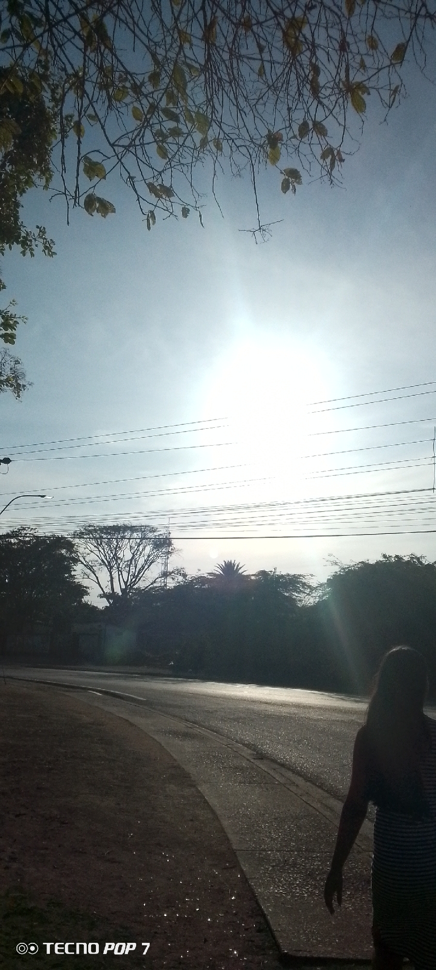The image depicts a street scene in Altagracia, Venezuela, under a bright, cloud-filtered sun. Overhead, branches of trees with sparse leaves spread across the top of the frame. Several power lines run horizontally across the middle of the view, below which a row of trees and vegetation is visible. The road curves slightly, reflecting sunlight. A woman stands on the right side of the frame, partially obscured, wearing a striped dress. The lower-left corner of the image displays the watermark "TECNO POP 7".