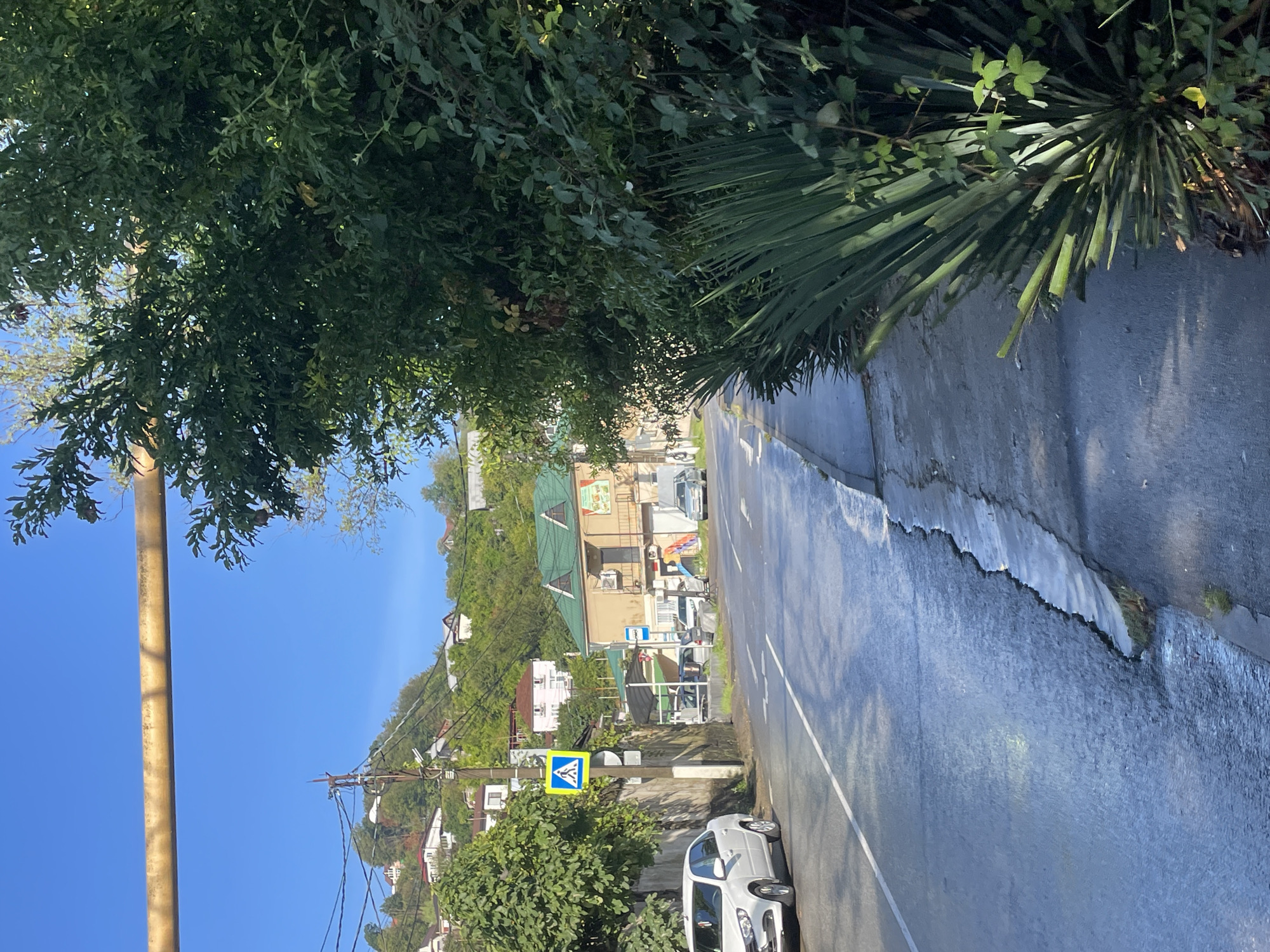 The image depicts a street scene in Baranovka, Russia, on a sunny day with a clear blue sky. A white sedan is parked on the left side of the wet asphalt road. To the right of the road, a sidewalk is bordered by lush green vegetation, including tall, spiky plants and leafy bushes. In the background, a multi-story building with a green roof stands next to other houses on a hillside dotted with trees. A yellow pedestrian crossing sign is visible on a pole near the sidewalk. A large yellow pipe runs horizontally across the upper portion of the frame.