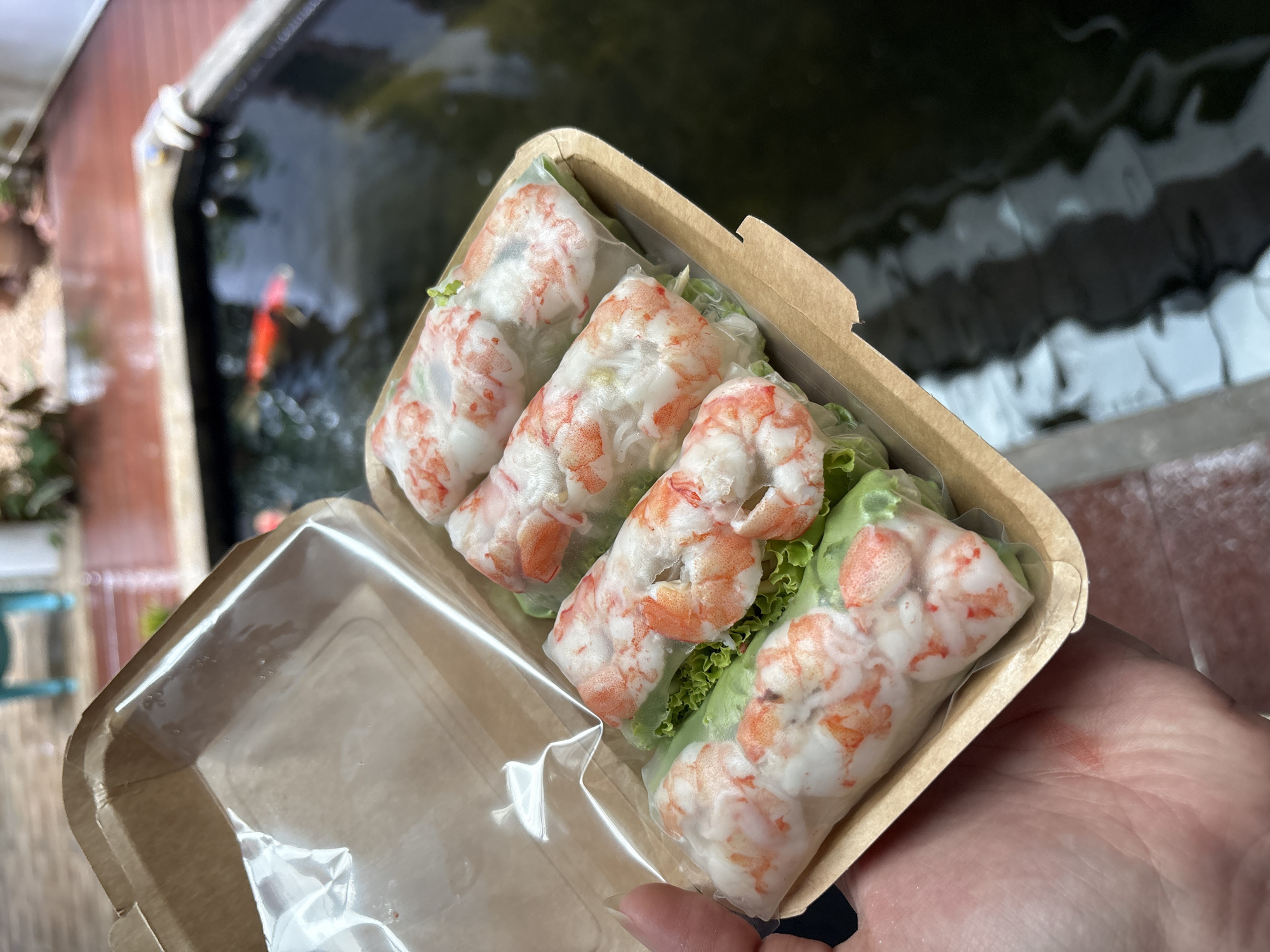 A close-up, eye-level shot shows four Vietnamese fresh spring rolls filled with shrimp and lettuce, presented in a brown cardboard take-out container with a clear plastic lid. The rolls are arranged in a line, with the shrimp prominently visible through the translucent wrapper. The container is held by a person's hand, which is partially visible on the left side of the frame. The background is blurred but appears to be an outdoor setting with a koi pond and red decking. The location is identified as Baan Kanok 23, Thailand.