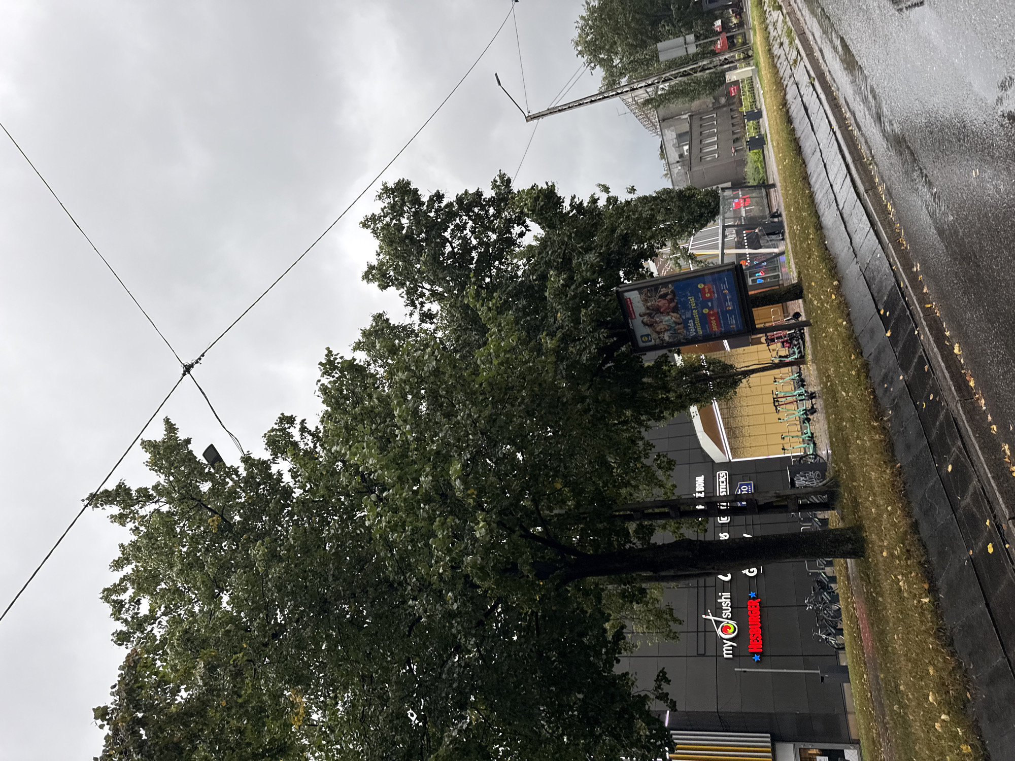 The image depicts a street scene in Tallinn, Estonia, on a cloudy day. In the foreground, a wet asphalt road with a drainage ditch runs along the right side. A grassy area with fallen autumn leaves separates the road from a building with various businesses. One prominent sign reads "my sushi" with a colorful logo, and another below it says "Hesburger" in red lettering. Several bicycles are parked in front of the building, and electric scooters are lined up further down. In the middle ground, trees with dense green foliage stand tall, partially obscuring the view of the building and the sky. Overhead, power lines and a lamppost are visible against the overcast sky. In the background, more buildings, including what appears to be a residential complex, are visible. A billboard with images of people and text in a foreign language is also present. The overall impression is one of an urban environment with commercial activity and modes of transportation.