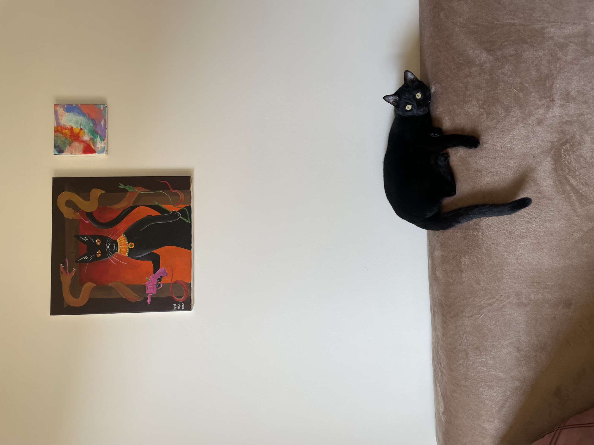 The image shows an interior scene with a light beige wall on the left and part of a brown couch on the right. On the wall, there are two paintings: a smaller one at the top with abstract colorful patterns and a larger one below, depicting a black cat wearing a collar, surrounded by snakes and holding a pink toy gun. On the couch lies a black cat with yellow eyes, looking towards the camera. The environment appears to be a living space. There is no indication of the location being in Budva, Montenegro.