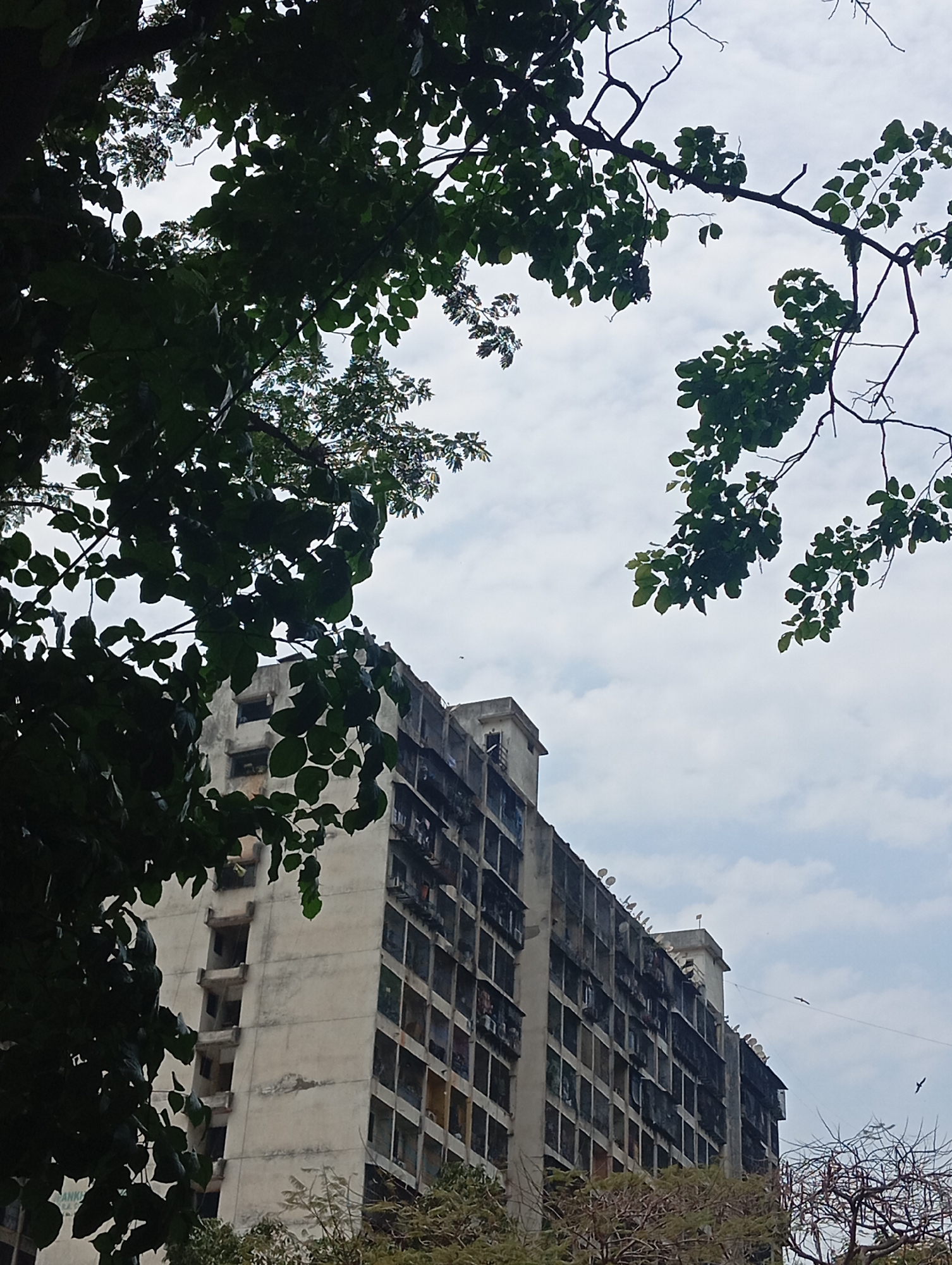 A daytime exterior shot frames a weathered, tall apartment building in Mumbai, India. The building, composed of numerous, equally sized windows, appears densely populated with air conditioning units and satellite dishes. The facade of the building is visibly aged, showing signs of wear and lack of maintenance.
The composition includes trees with leafy foliage in the foreground, partially obscuring the view of the building. Bare tree branches also appear in the bottom right corner, adding a textural element to the image.
The sky is overcast with scattered clouds, indicating moderate weather conditions. There are birds visible in flight near the top of the building. The architectural style is utilitarian, typical of urban residential structures. The environment appears urban and somewhat neglected.